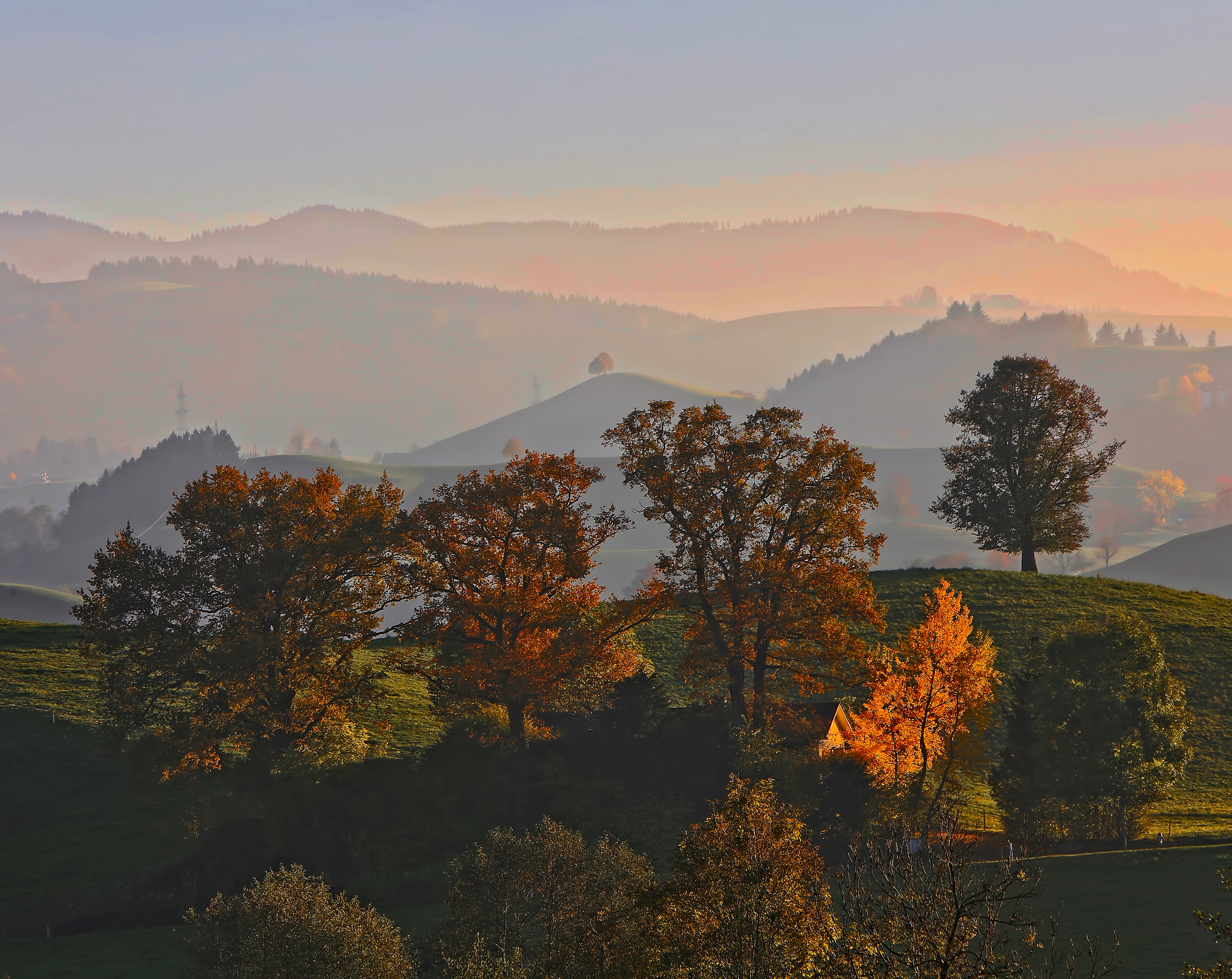 Autumnal Haze Over Rolling Hills at Sunrise HD Wallpaper