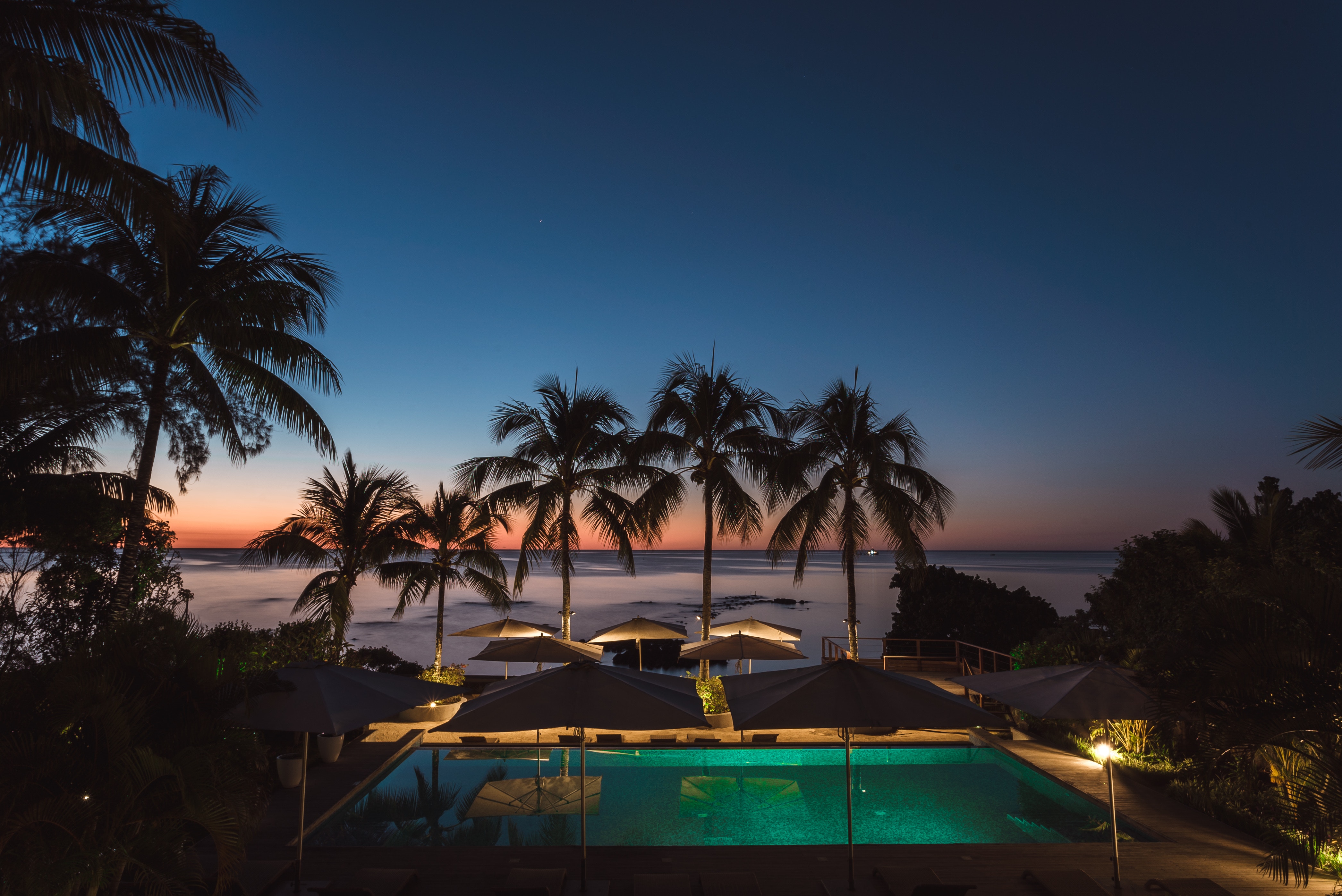 Palm trees and pool at dusk by the ocean HD Wallpaper