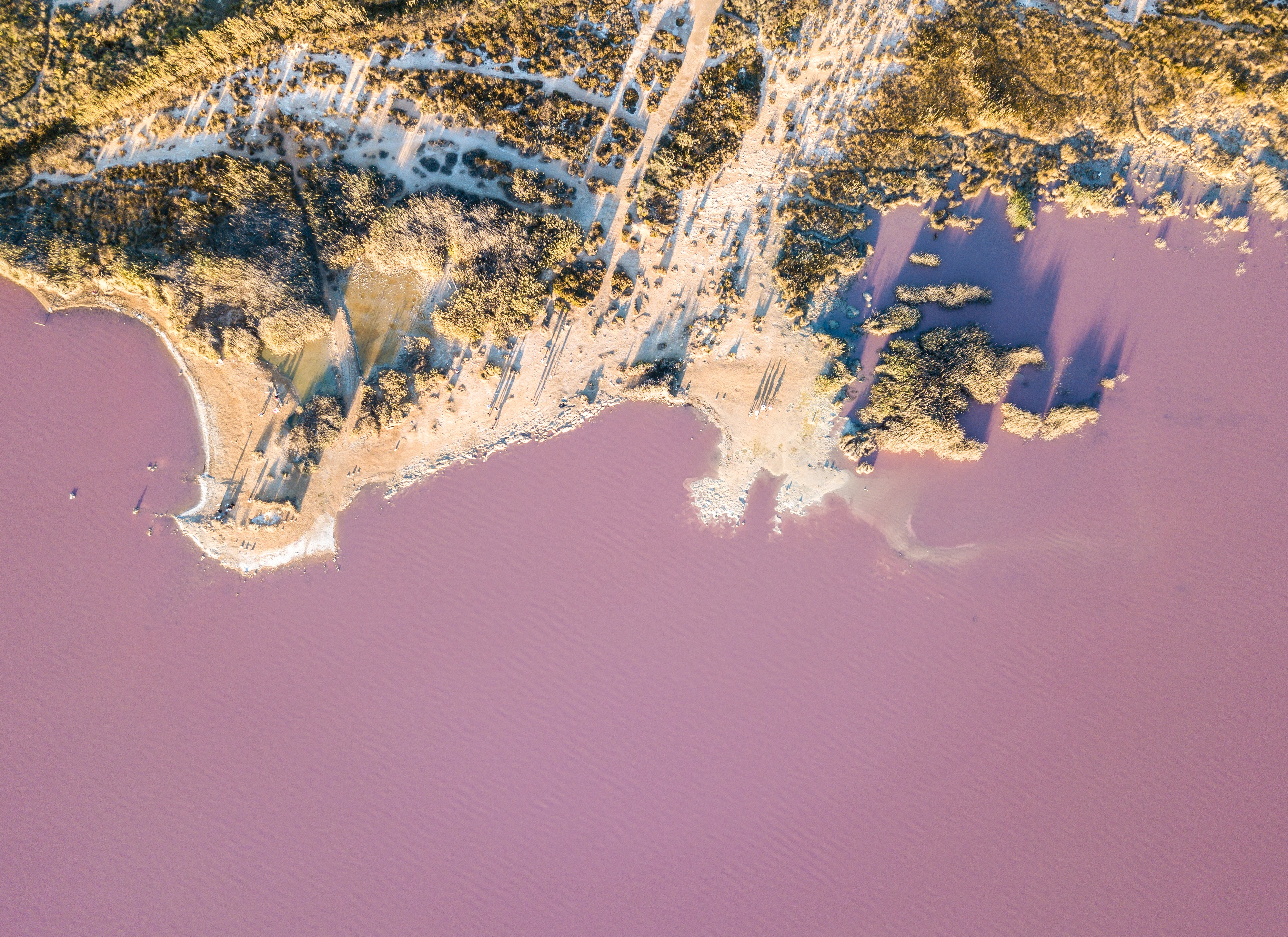 Aerial view of a pink salt lake and coastline HD Wallpaper