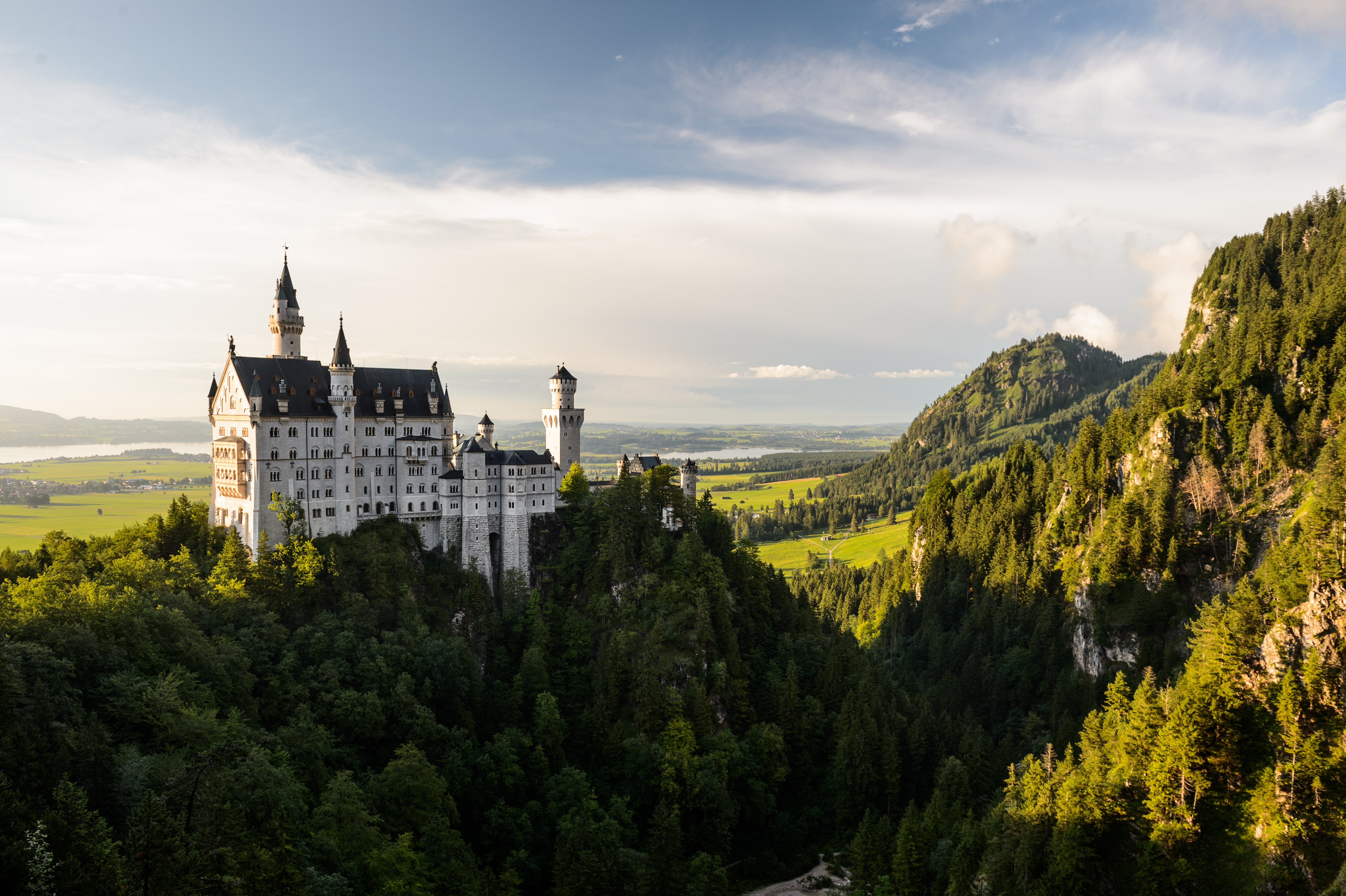 Neuschwanstein Castle on a forested hill in Germany HD Wallpaper