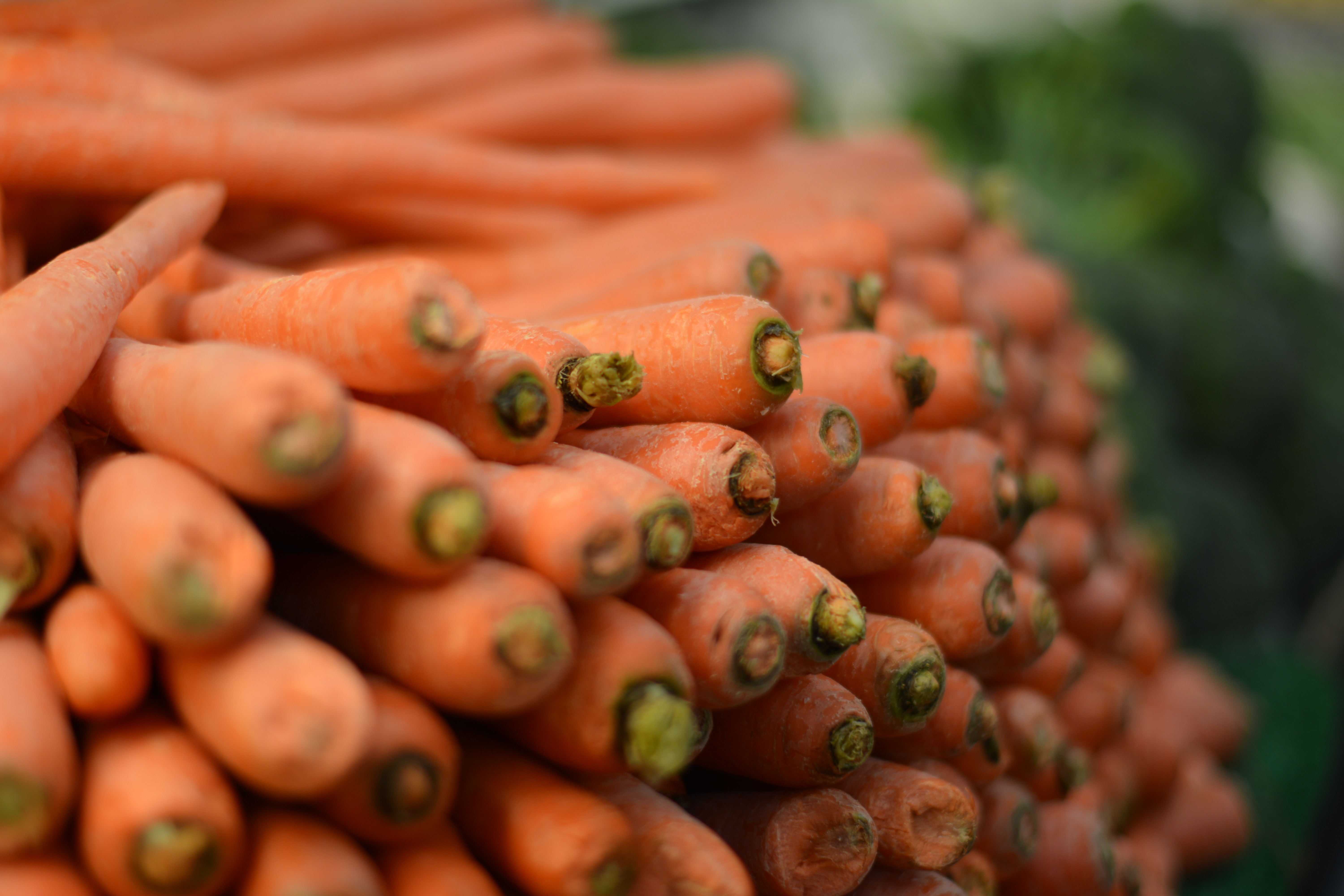 Pile of fresh orange carrots close up HD Wallpaper