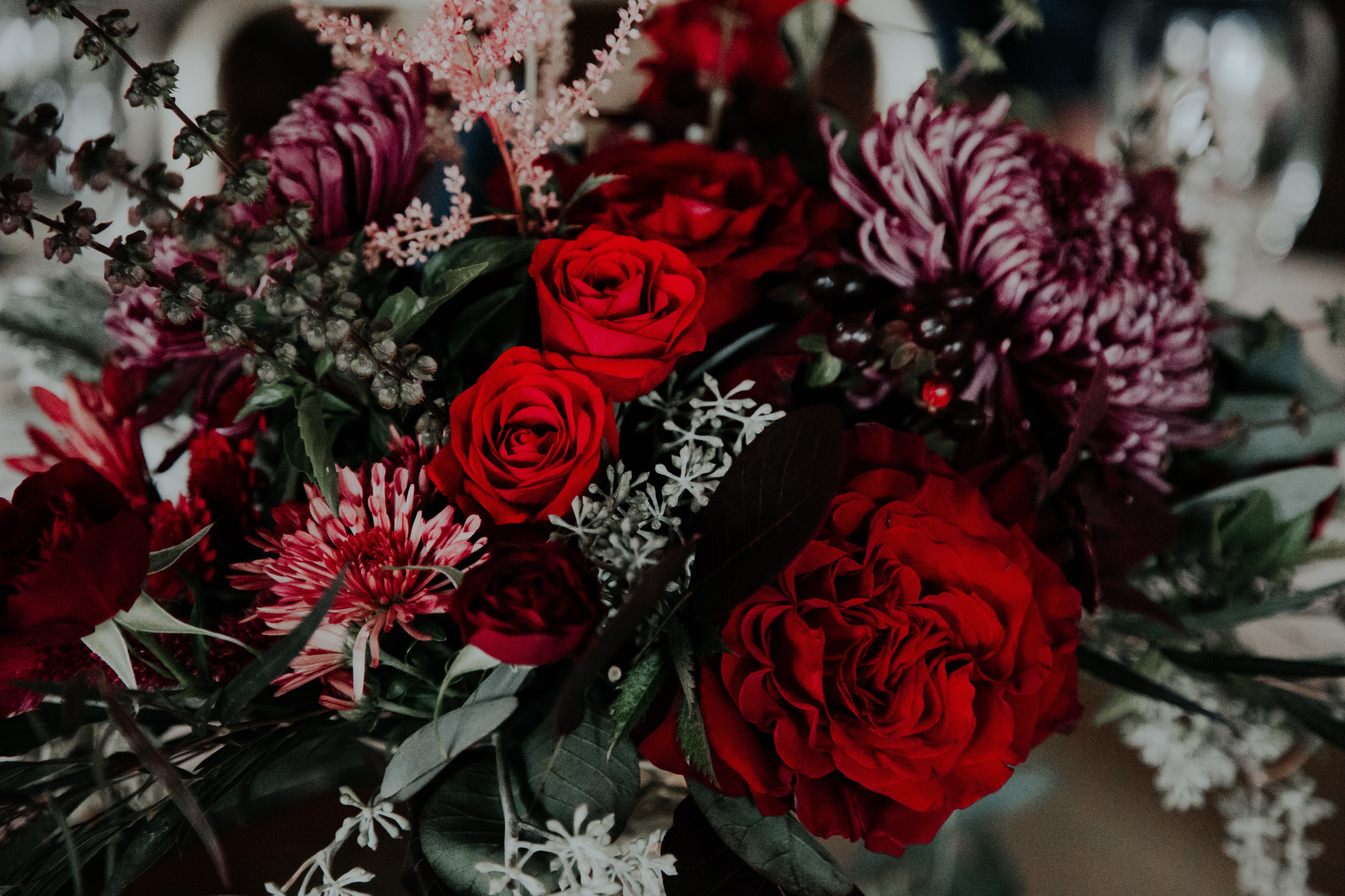 Deep tone bouquet of red roses and purple chrysanthemums HD Wallpaper