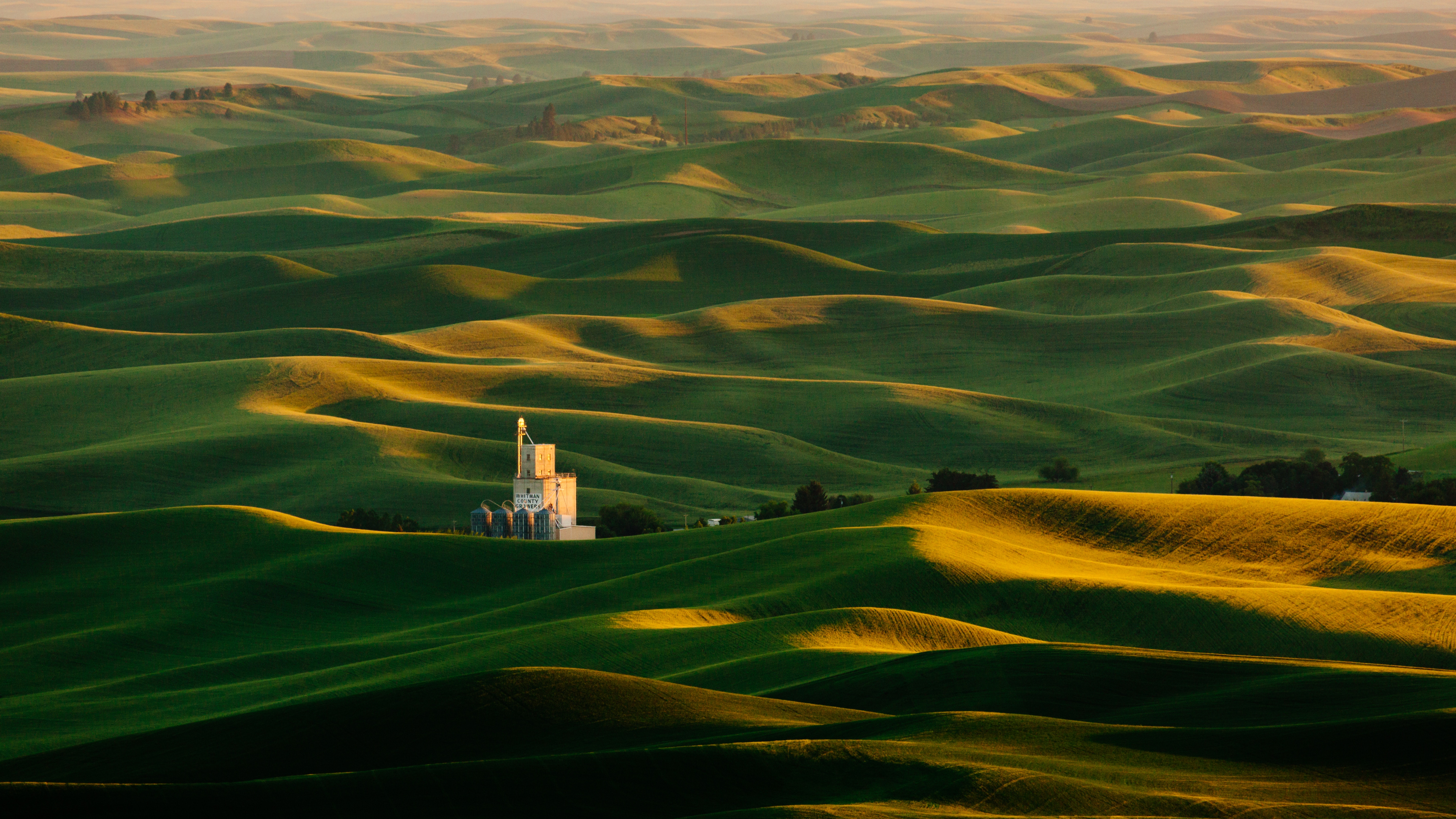 Rolling Green Hills and Steptoe Butte at Sunset HD Wallpaper