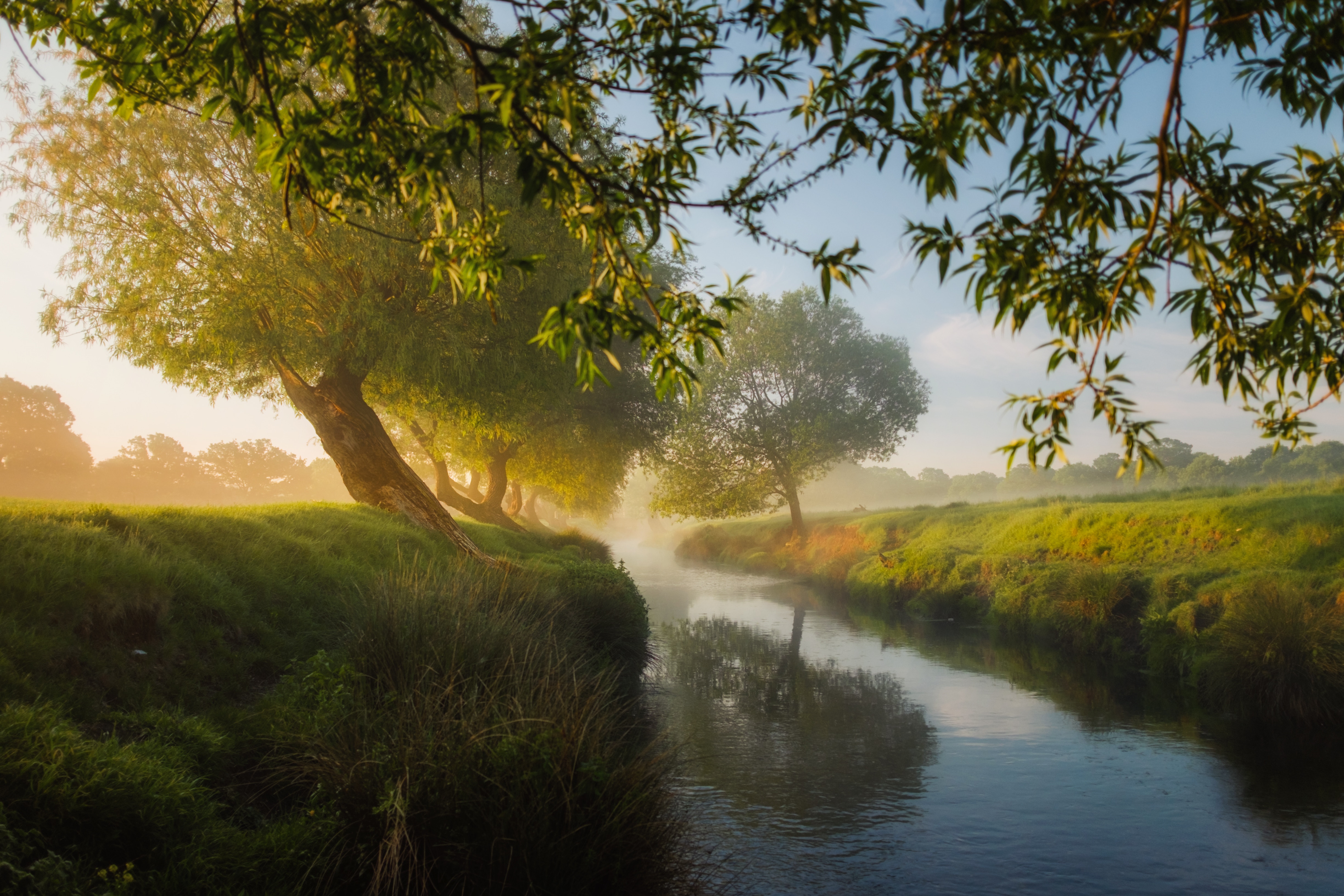 Misty river flowing through a sunlit forest HD Wallpaper