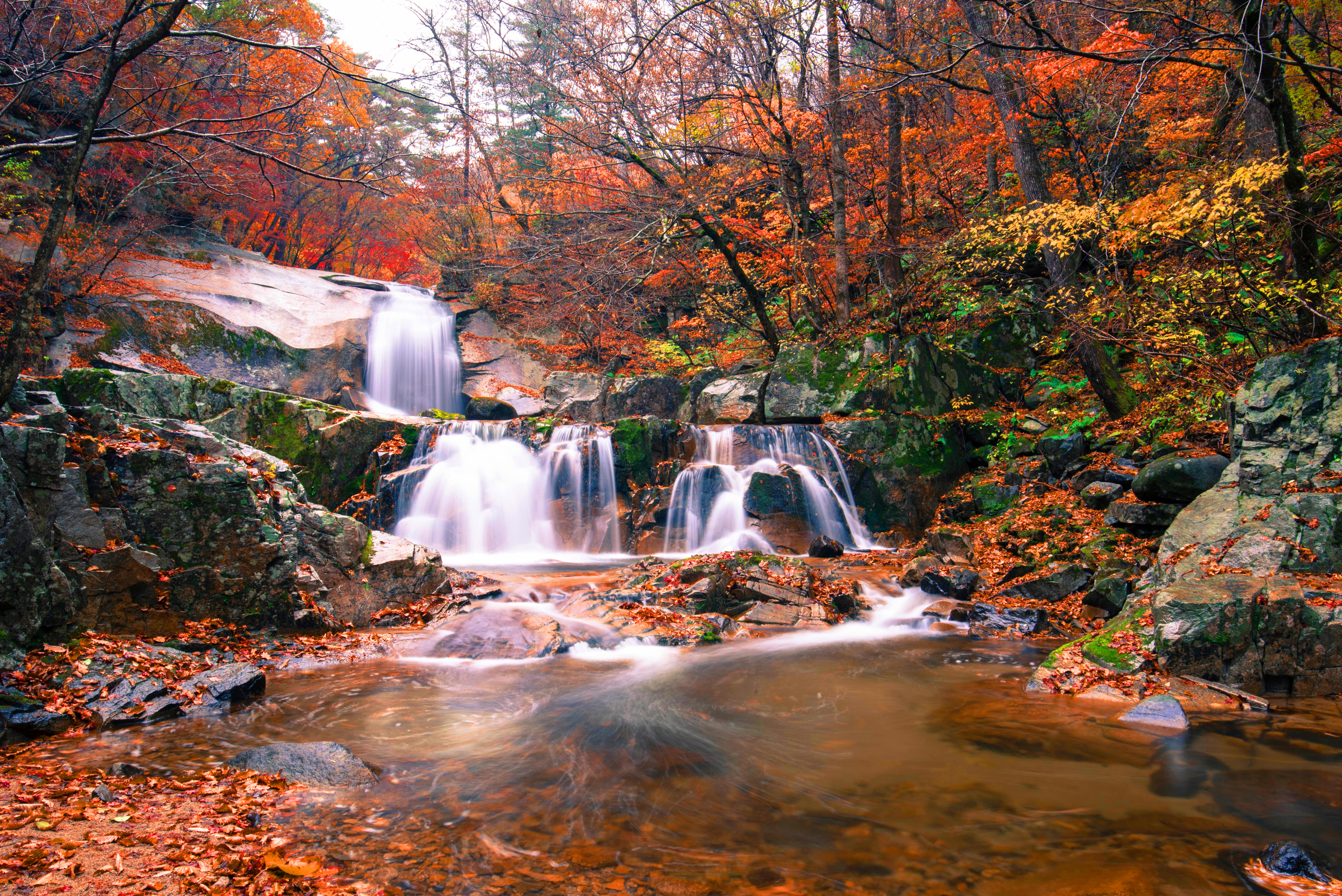 Waterfall in a forest during autumn HD Wallpaper