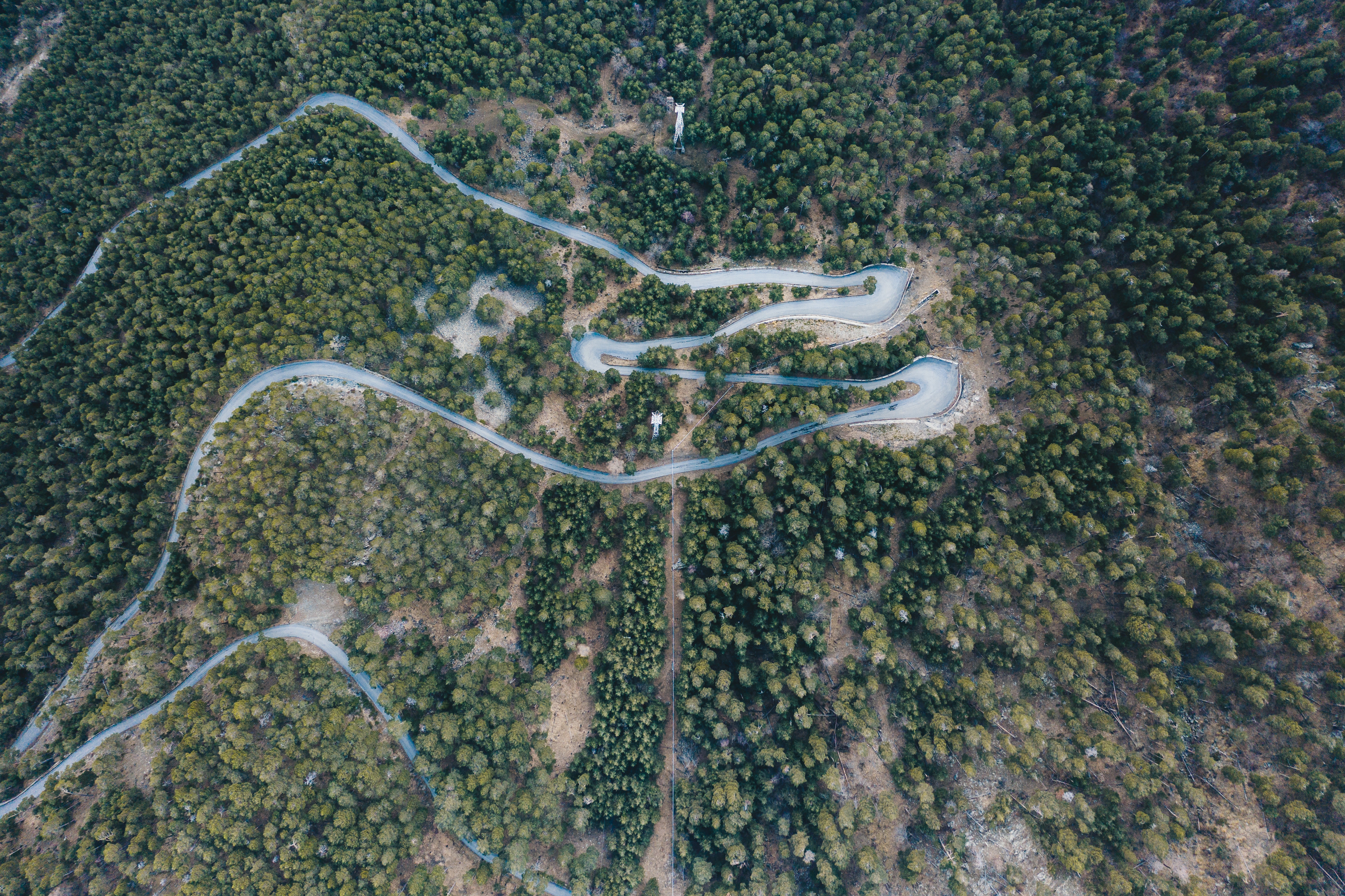 Aerial view of a winding road through a forest in Italy HD Wallpaper