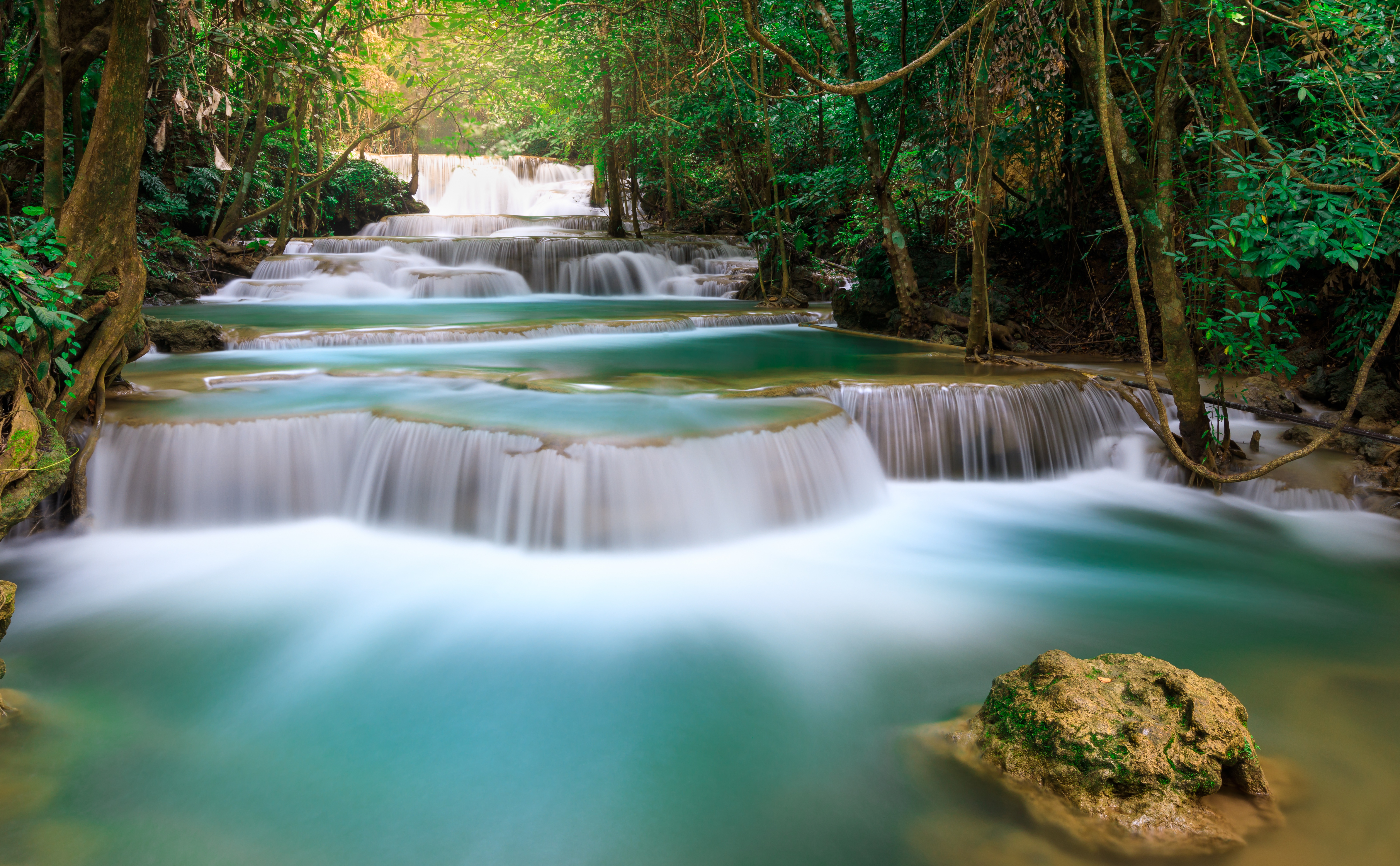 Tiered waterfall in a lush green forest HD Wallpaper