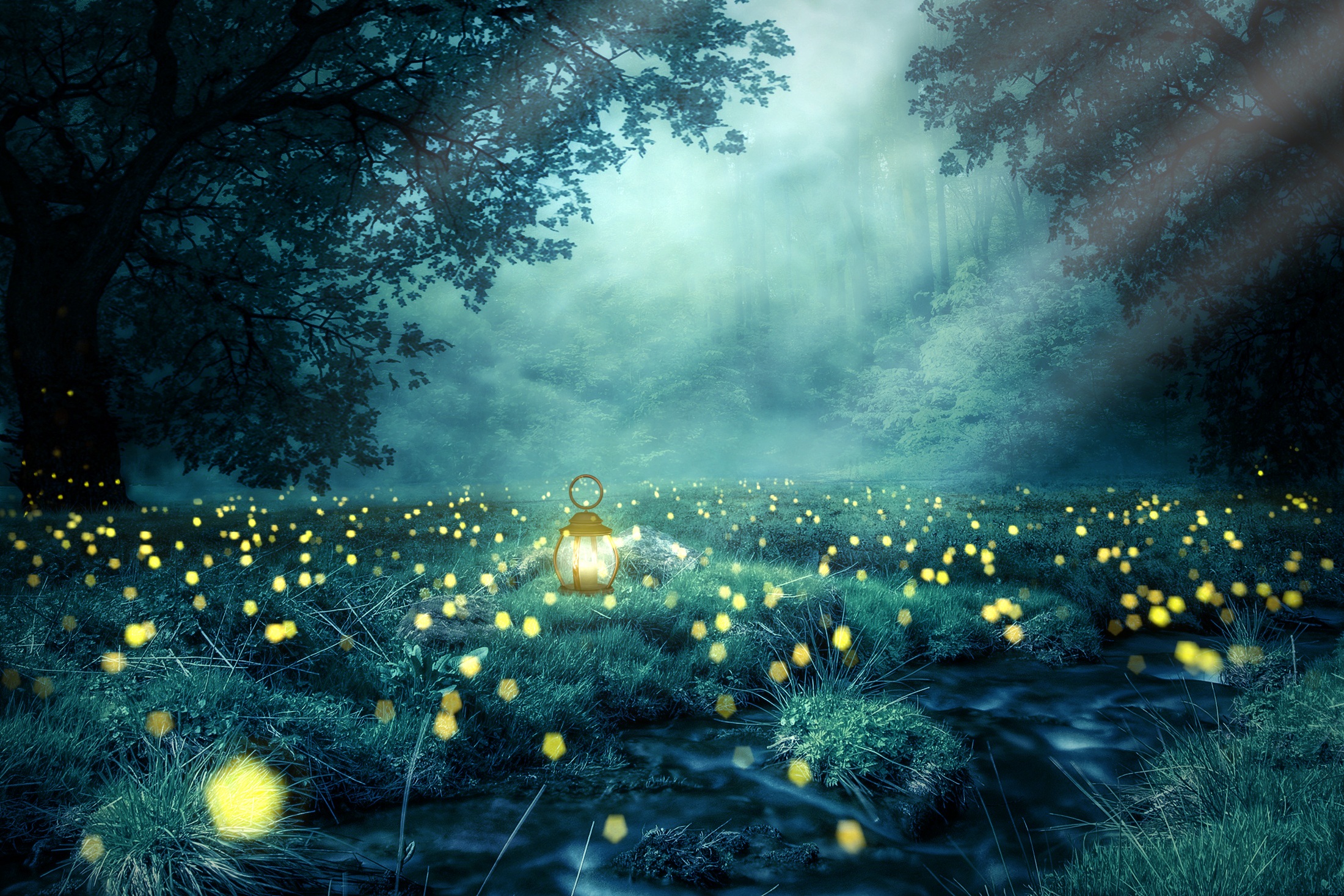 Magical forest clearing with lantern and fireflies HD Wallpaper