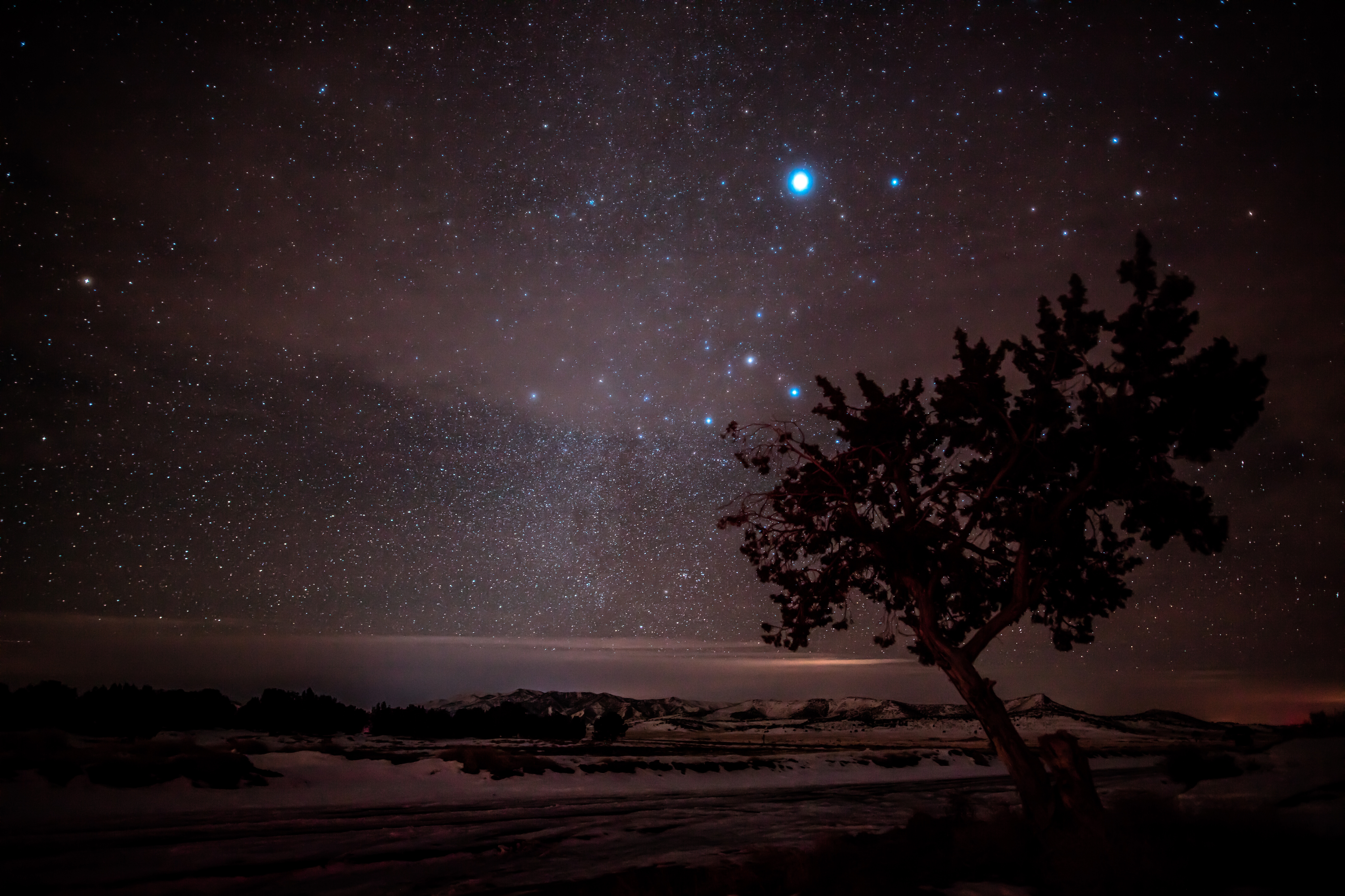 Starry night sky over a snowy landscape with a tree HD Wallpaper
