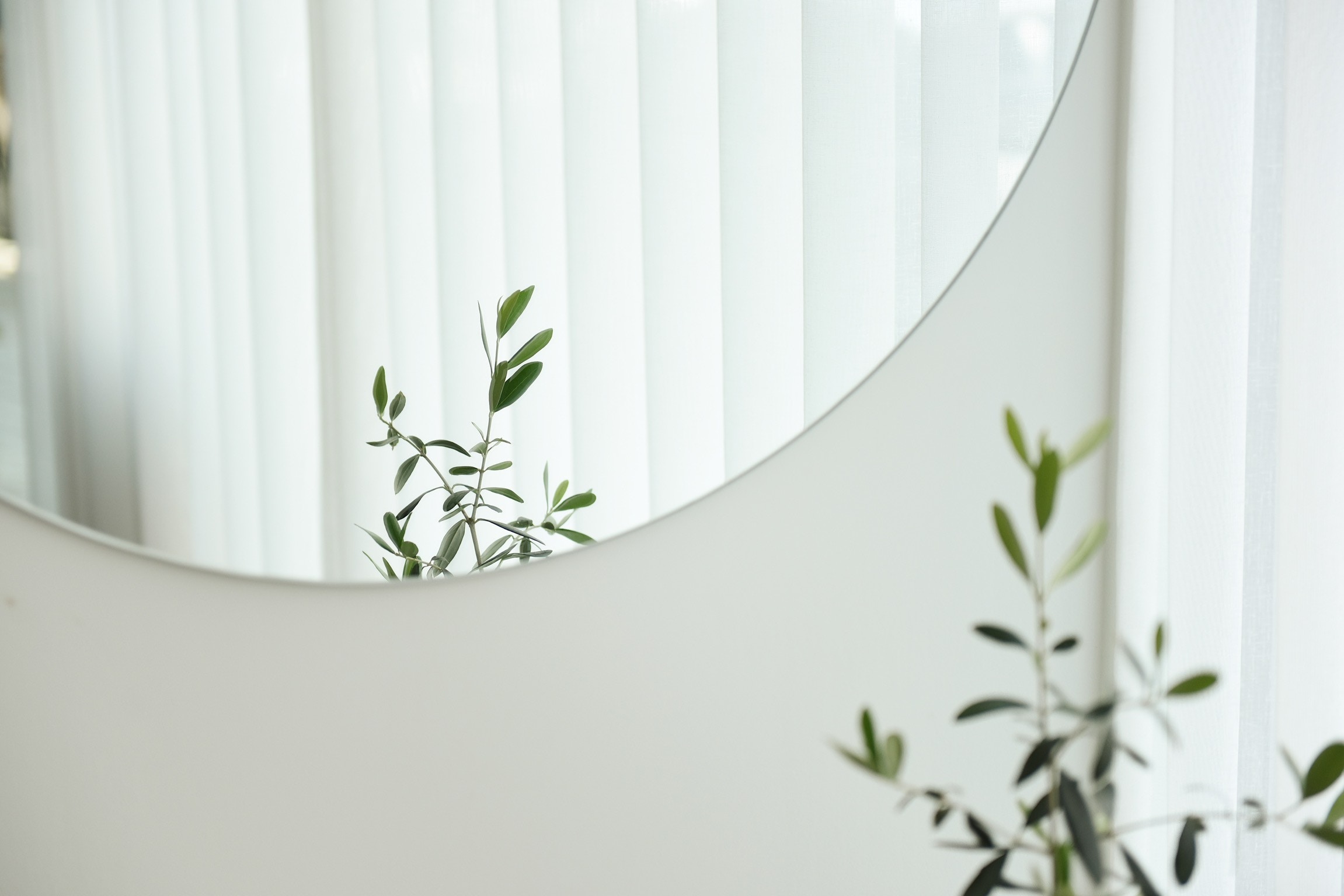 Plant reflected in a mirror with white blinds HD Wallpaper