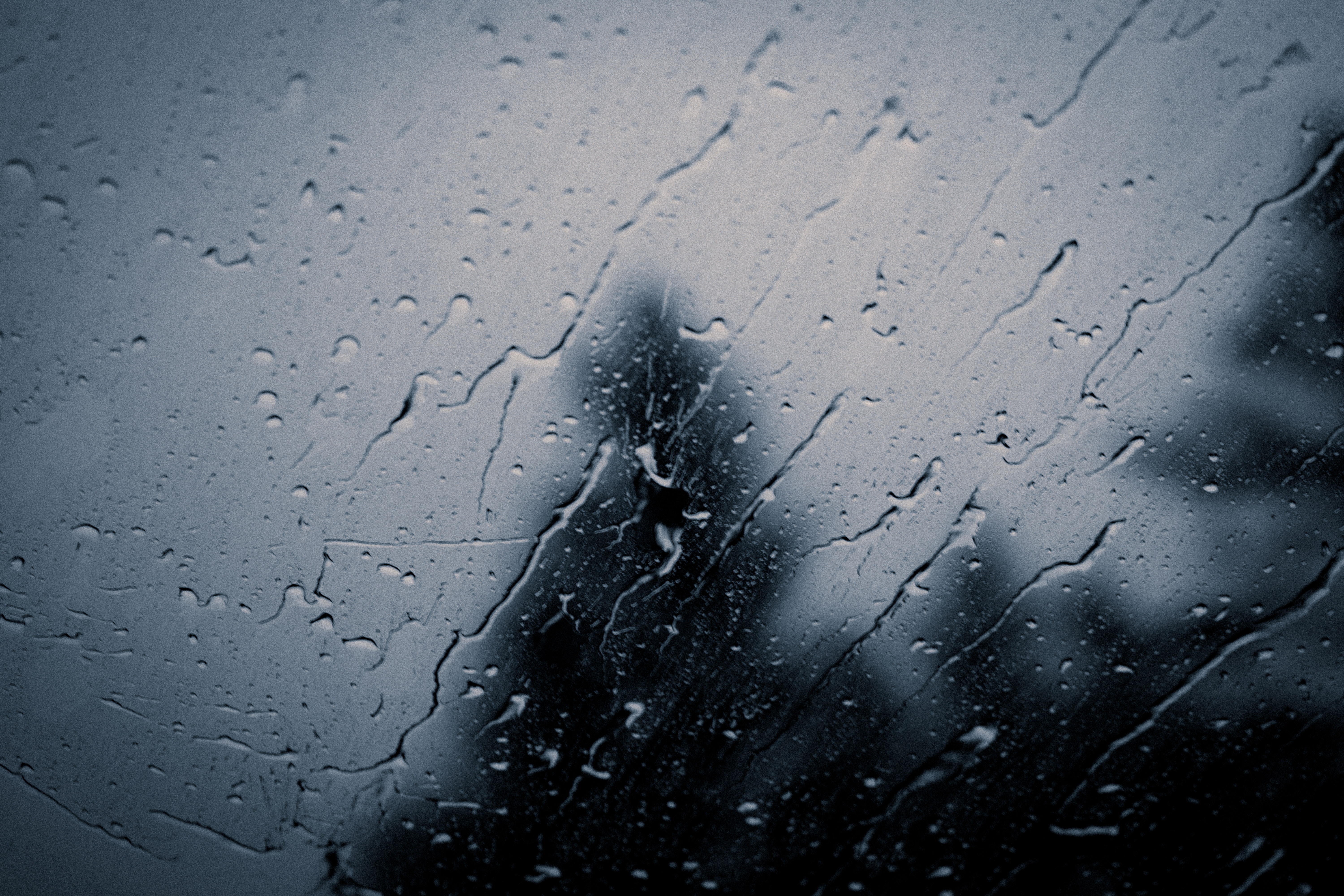 Raindrops on a window with a blurry tree silhouette HD Wallpaper
