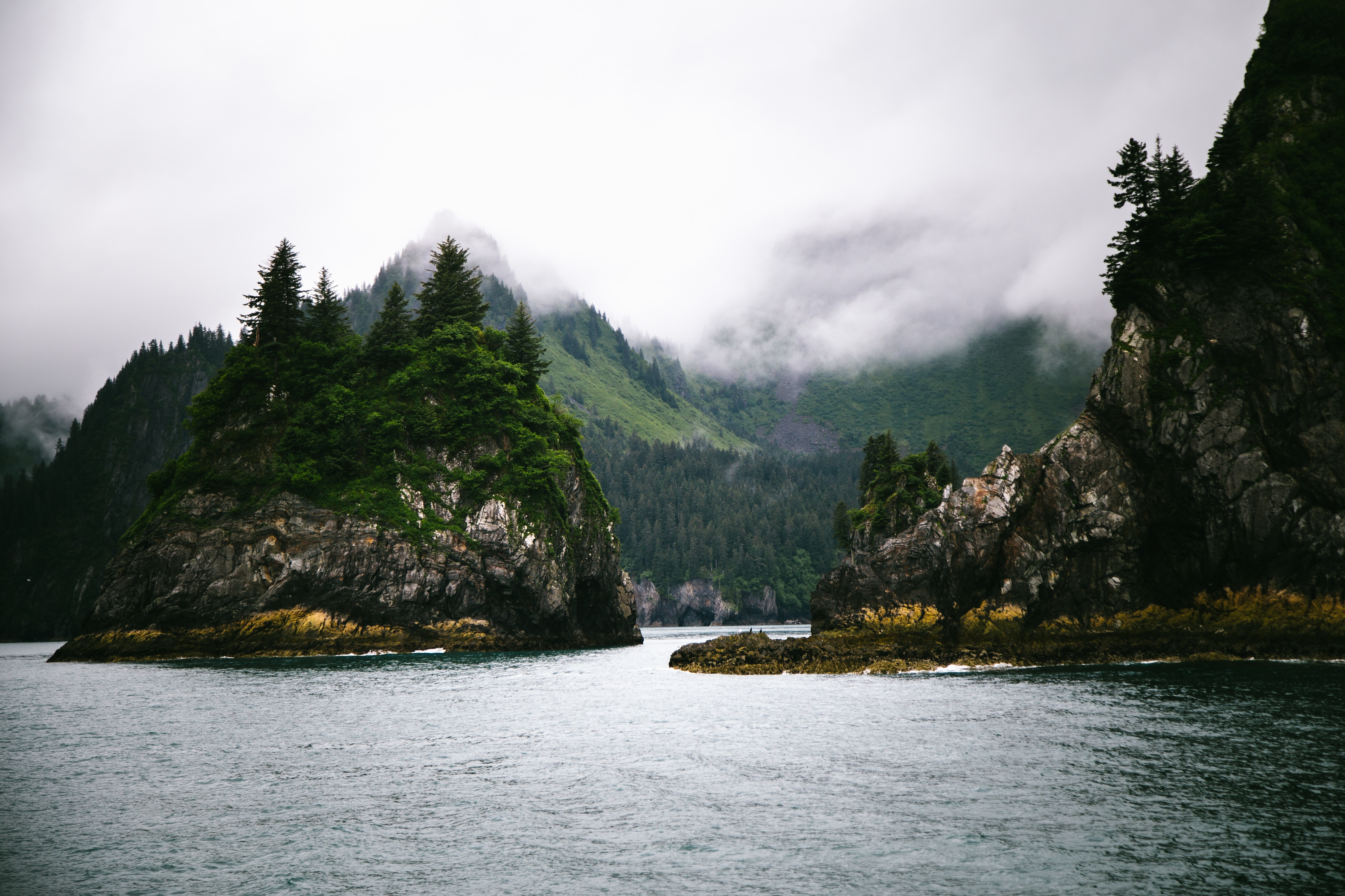 Rocky islands with evergreen trees in Kenai Fjords HD Wallpaper