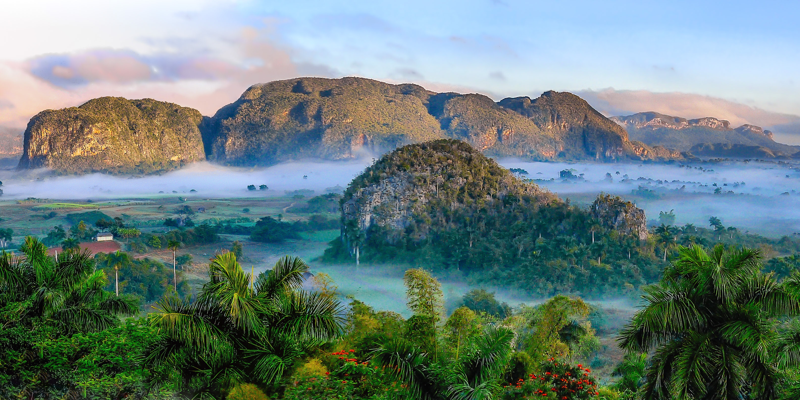 Misty mountains and tropical forest in Vinales Valley HD Wallpaper