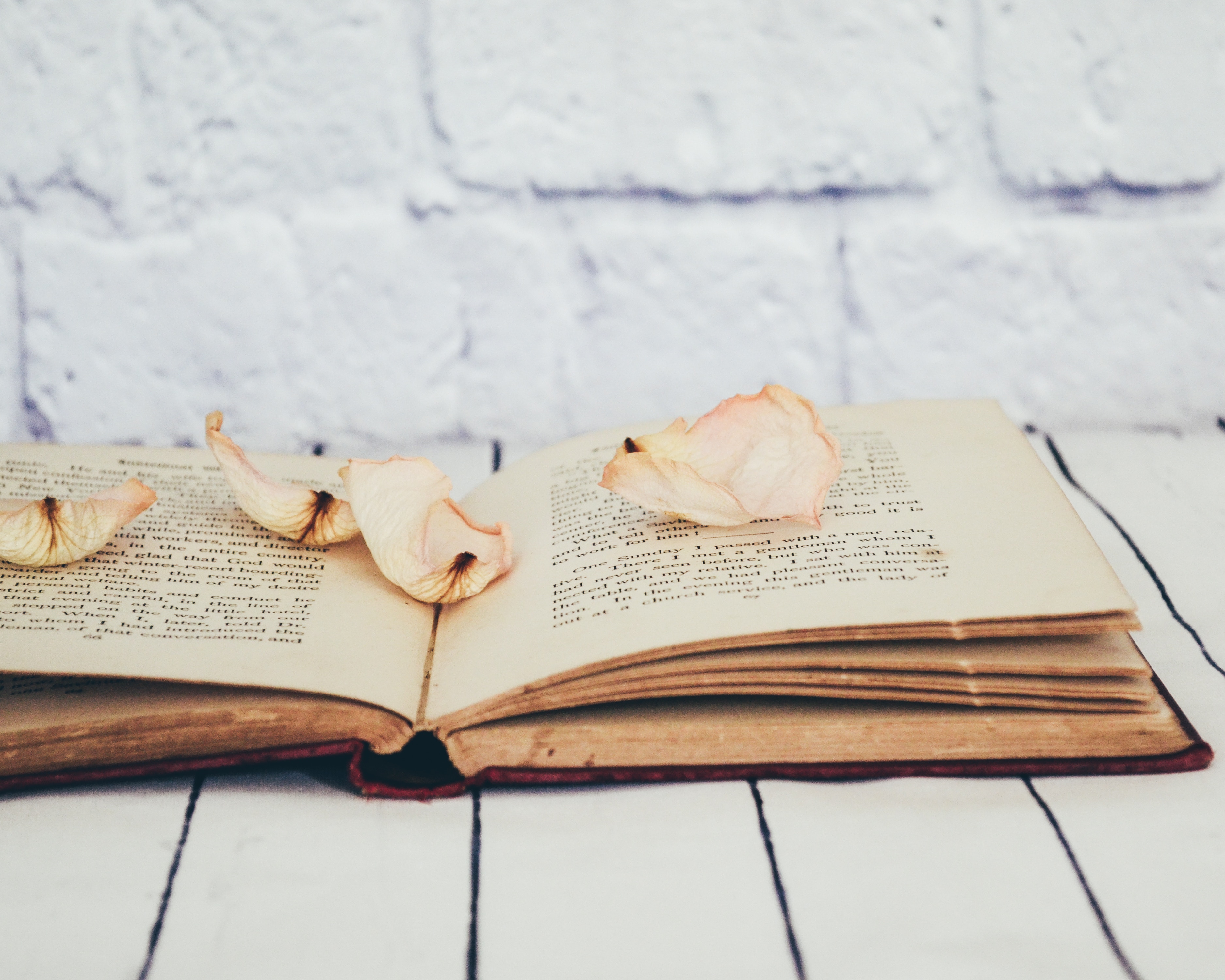 Open book with dried rose petals on a wooden table HD Wallpaper