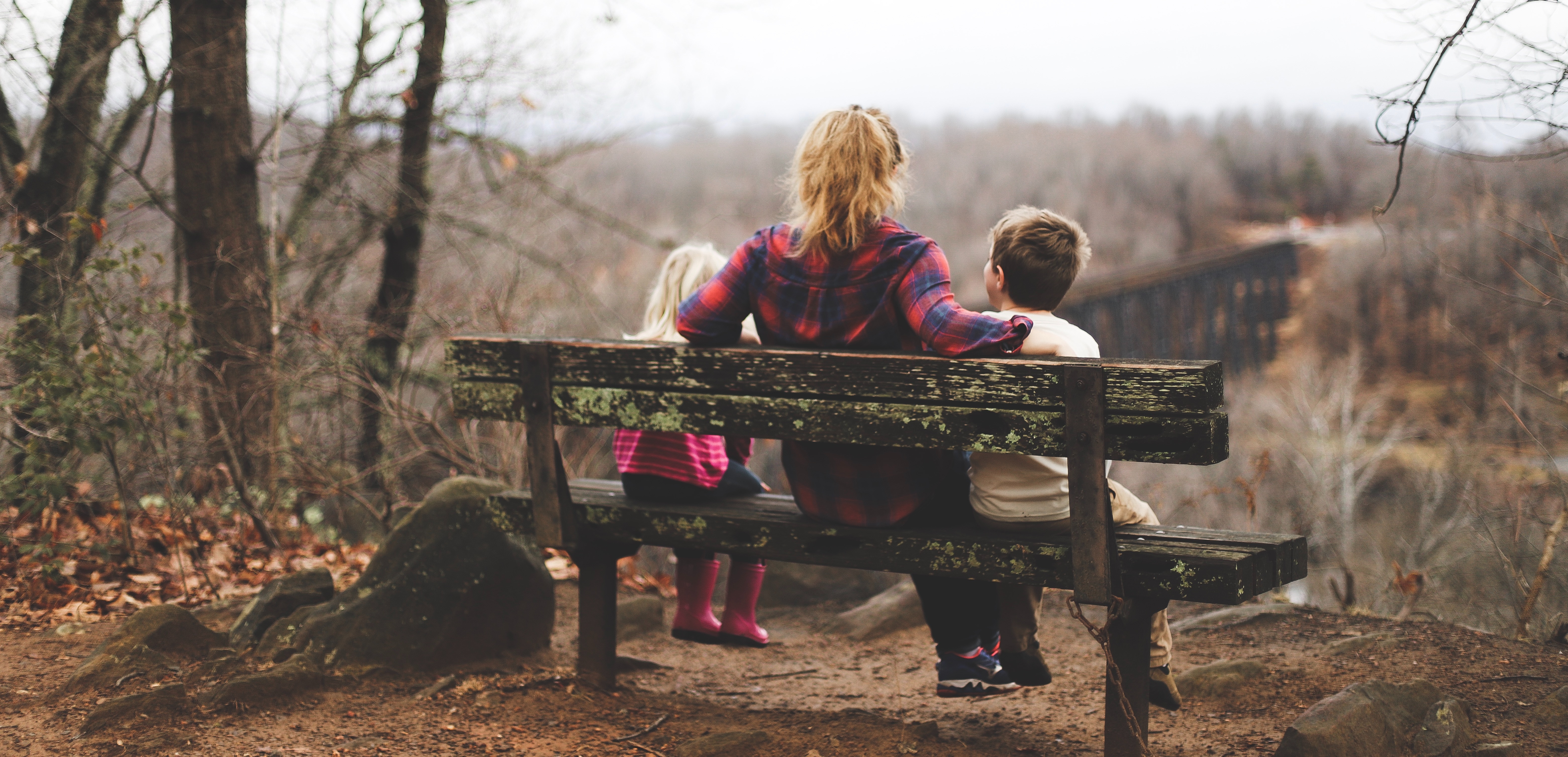 Family on a bench overlooking a forest valley HD Wallpaper