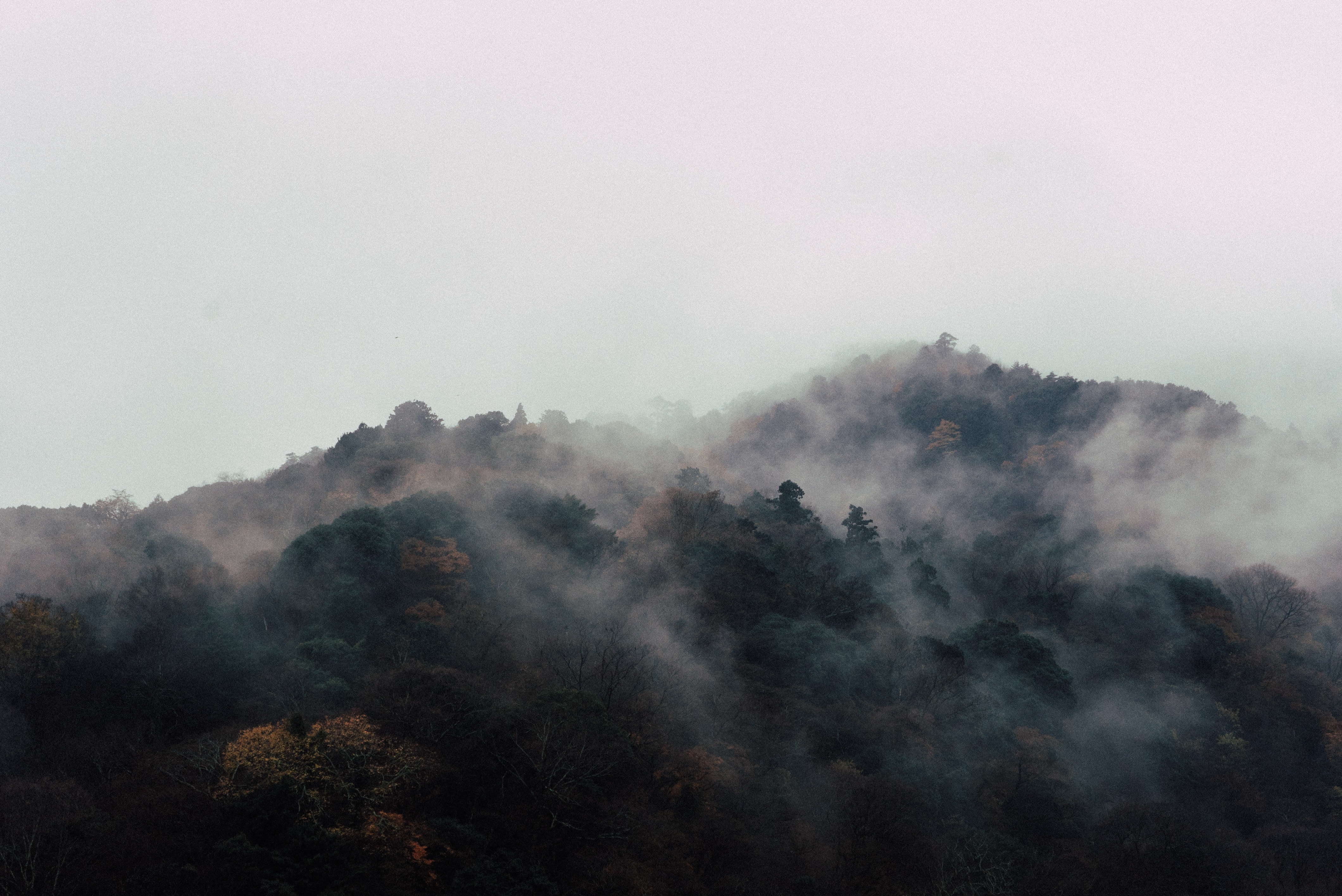 Misty Mountain Forest Landscape in Kyoto HD Wallpaper