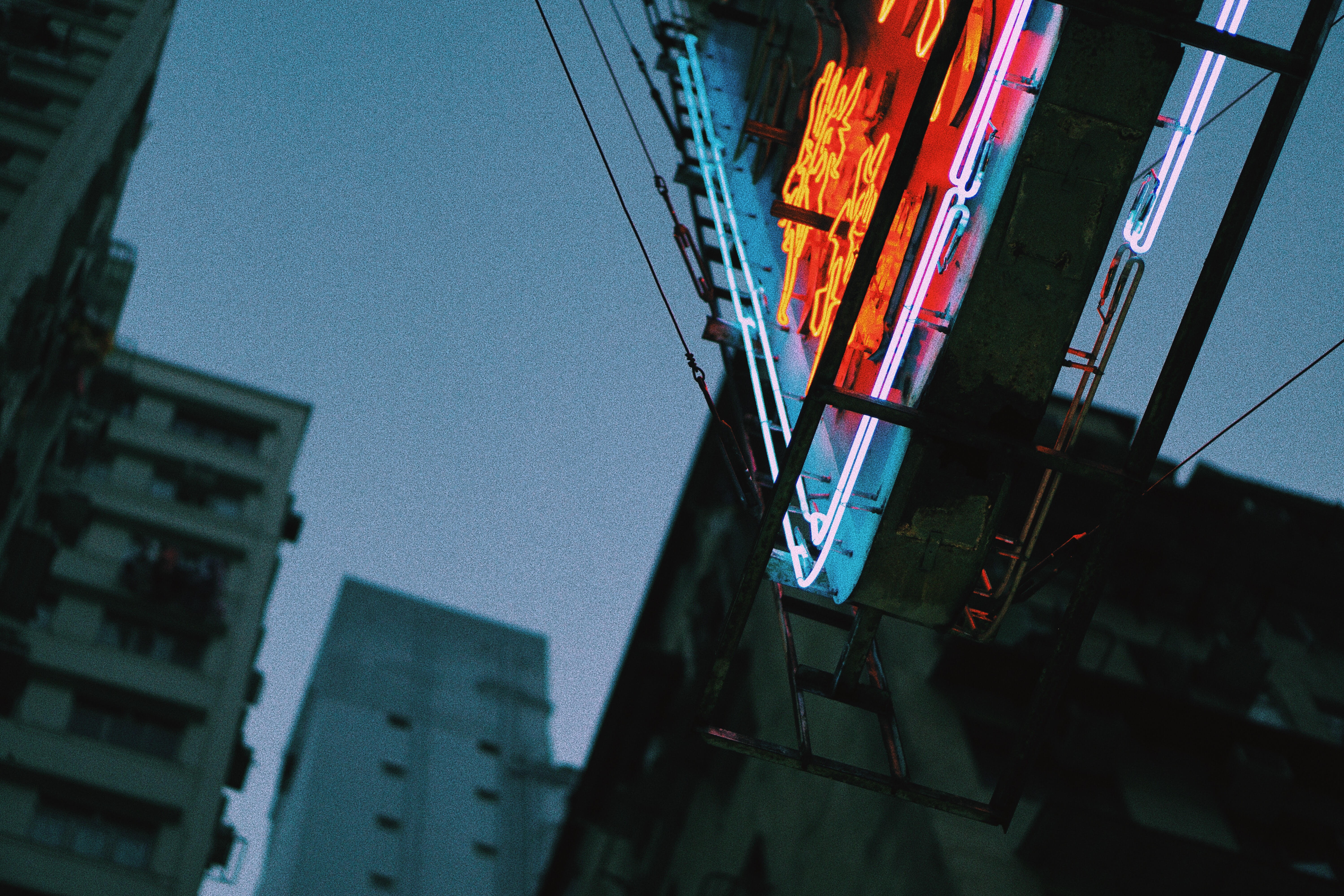 Neon sign in urban city at night HD Wallpaper