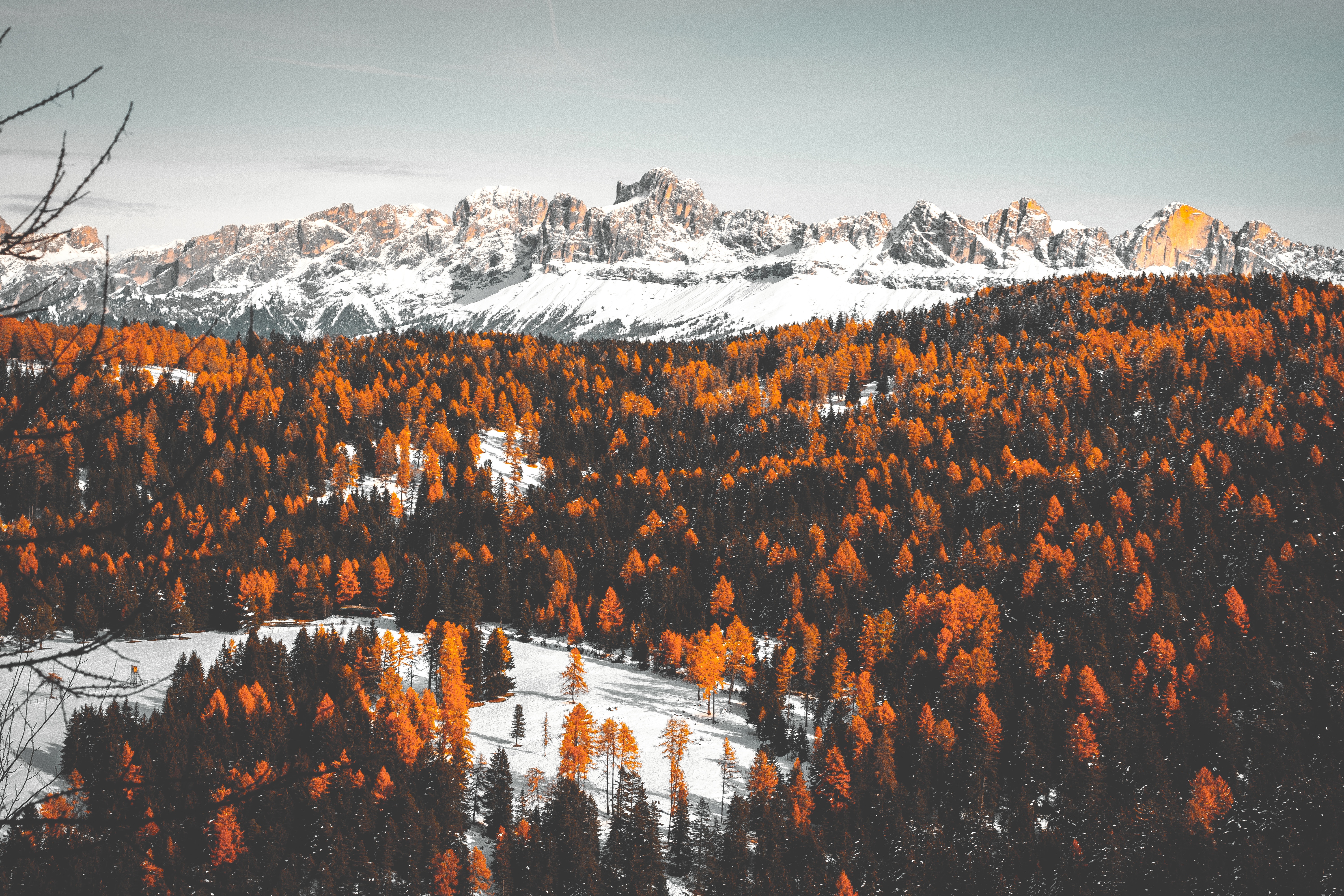 Autumn forest with snow-capped Dolomites mountains in Italy HD Wallpaper