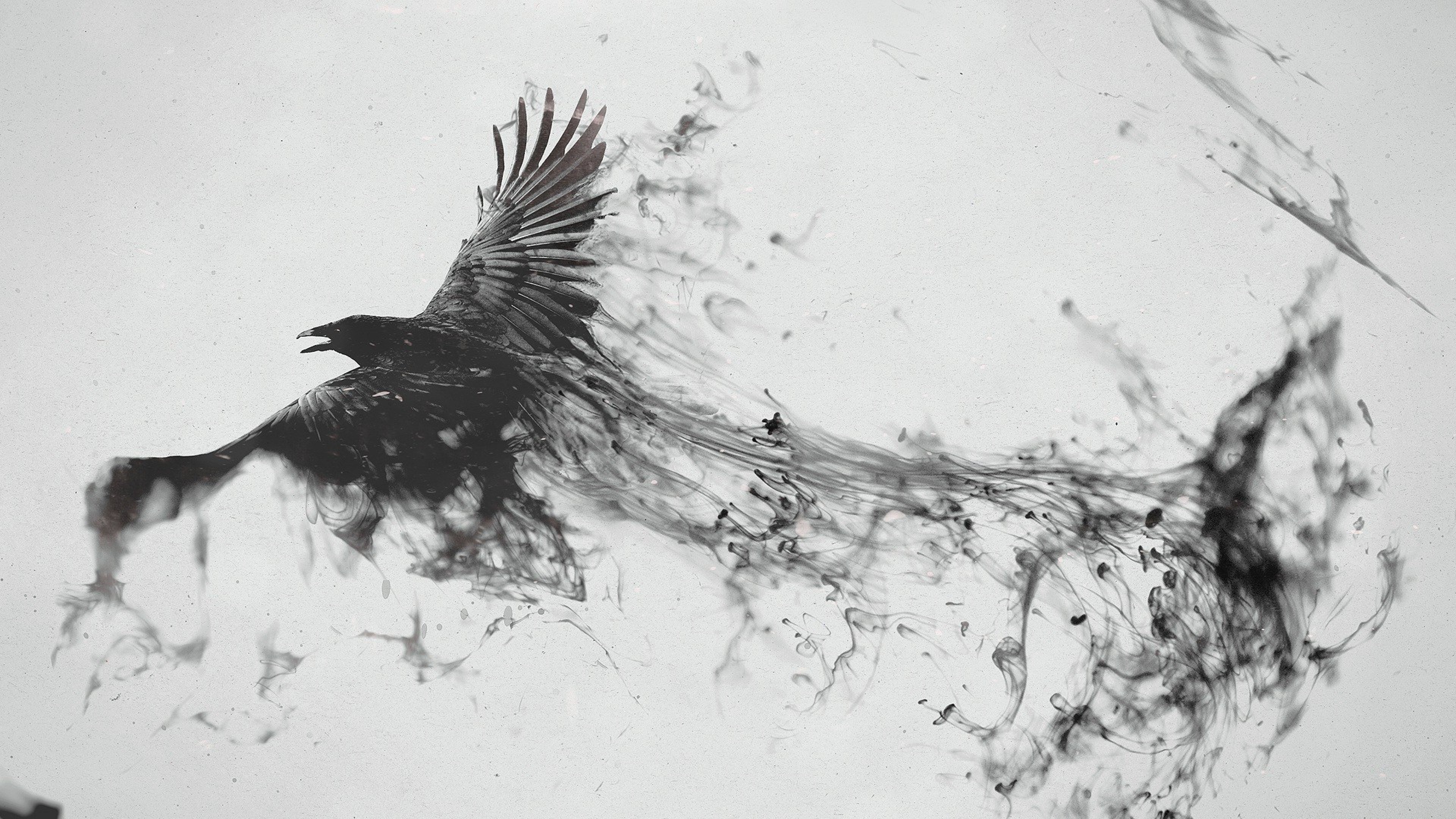 Raven dissolving into ink 4K HD Wallpaper