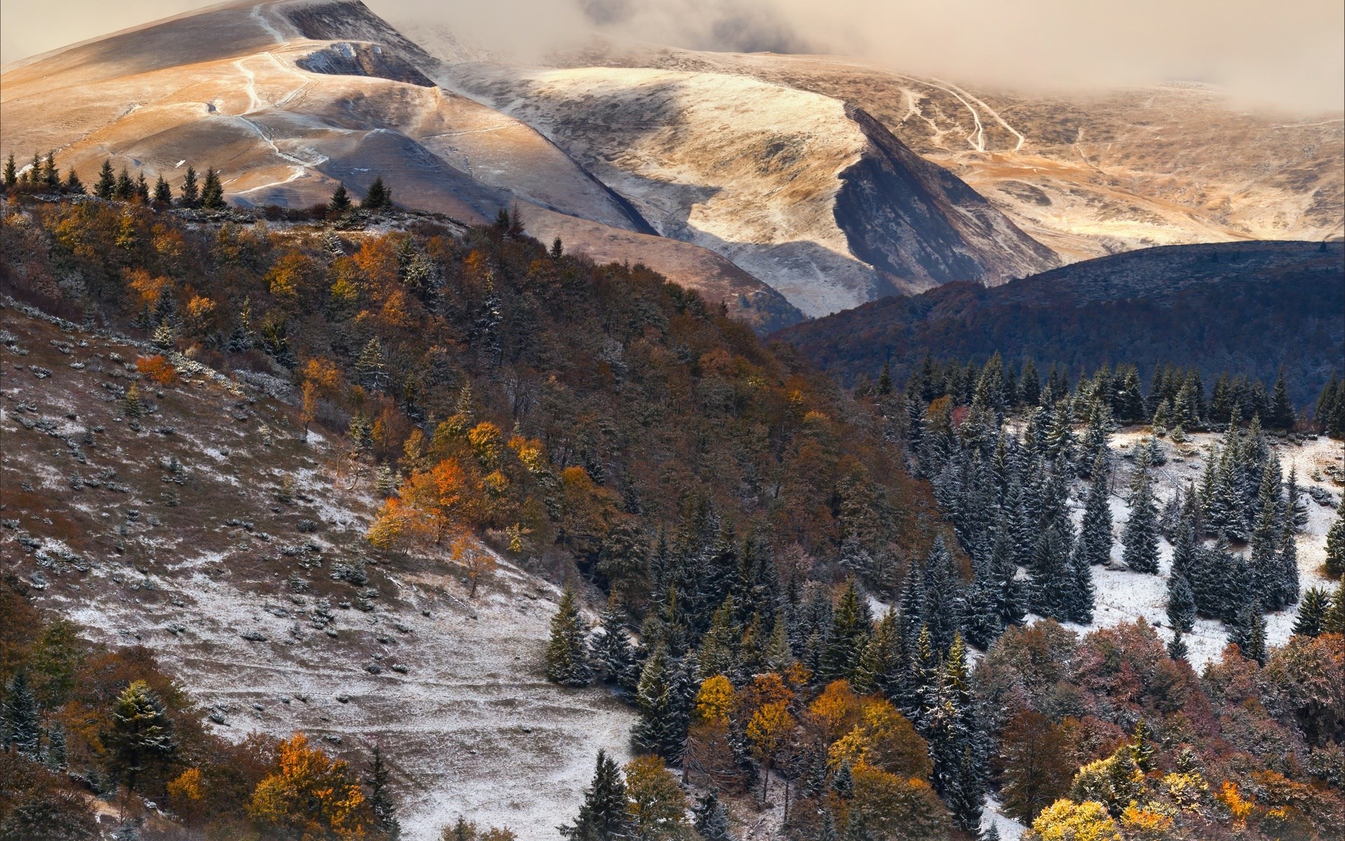 Snow-dusted mountains and autumn trees HD Wallpaper