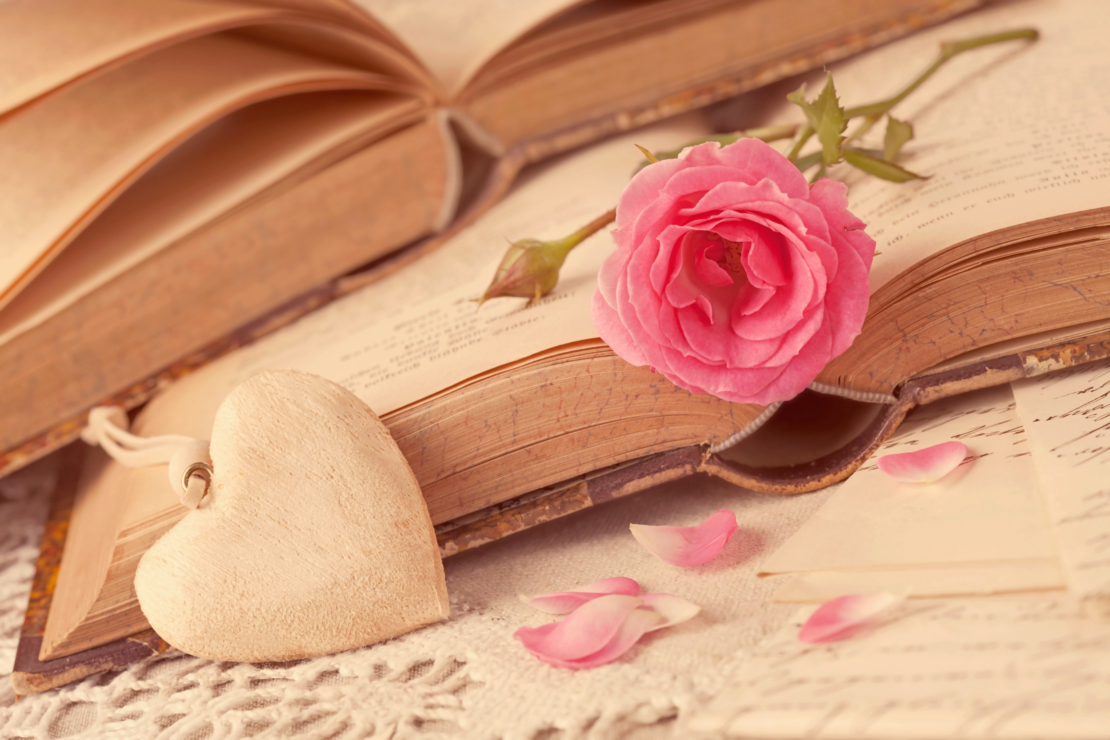 Open books with pink rose and wooden heart HD Wallpaper