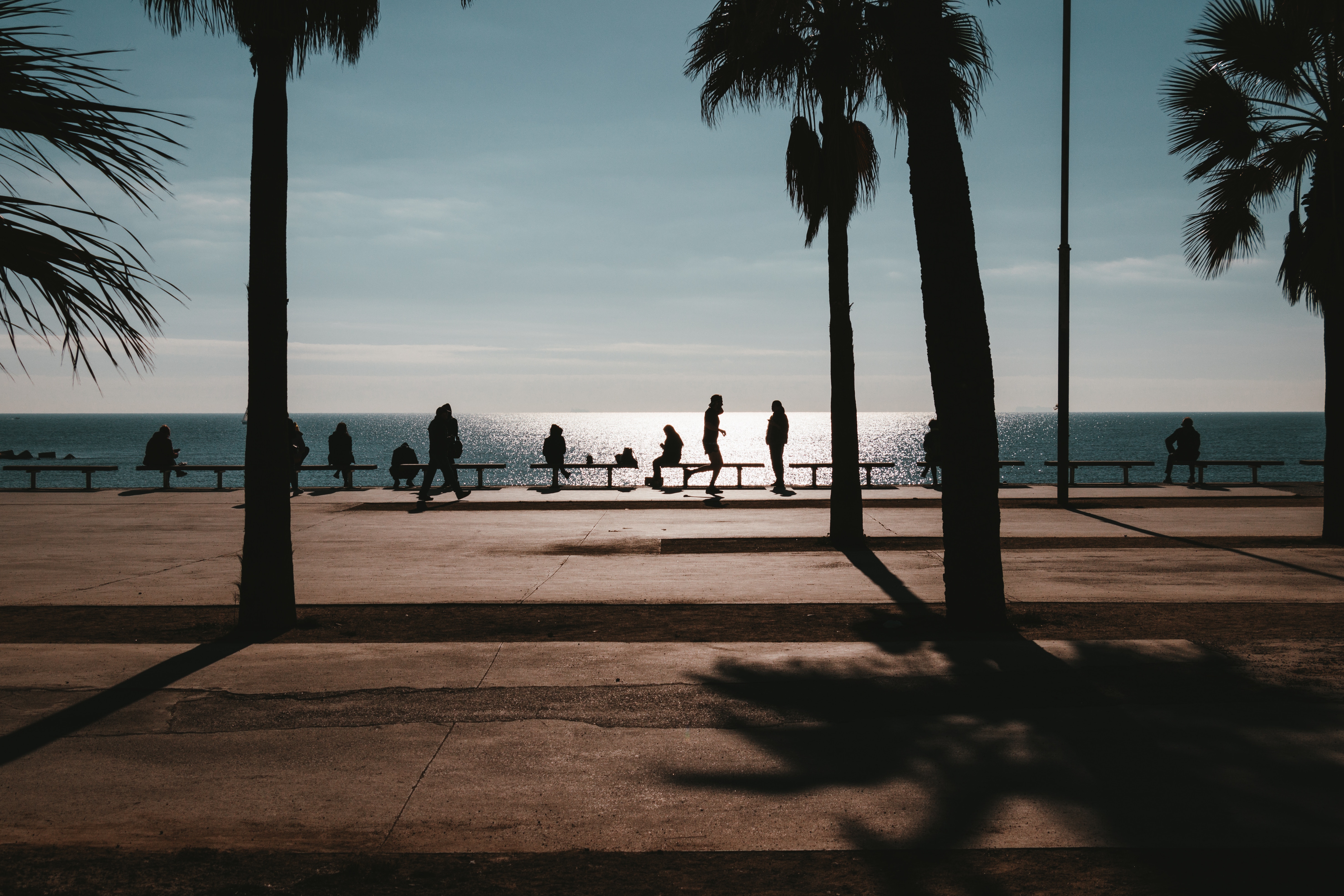 Silhouettes of people on a promenade by the sea with palm trees HD Wallpaper