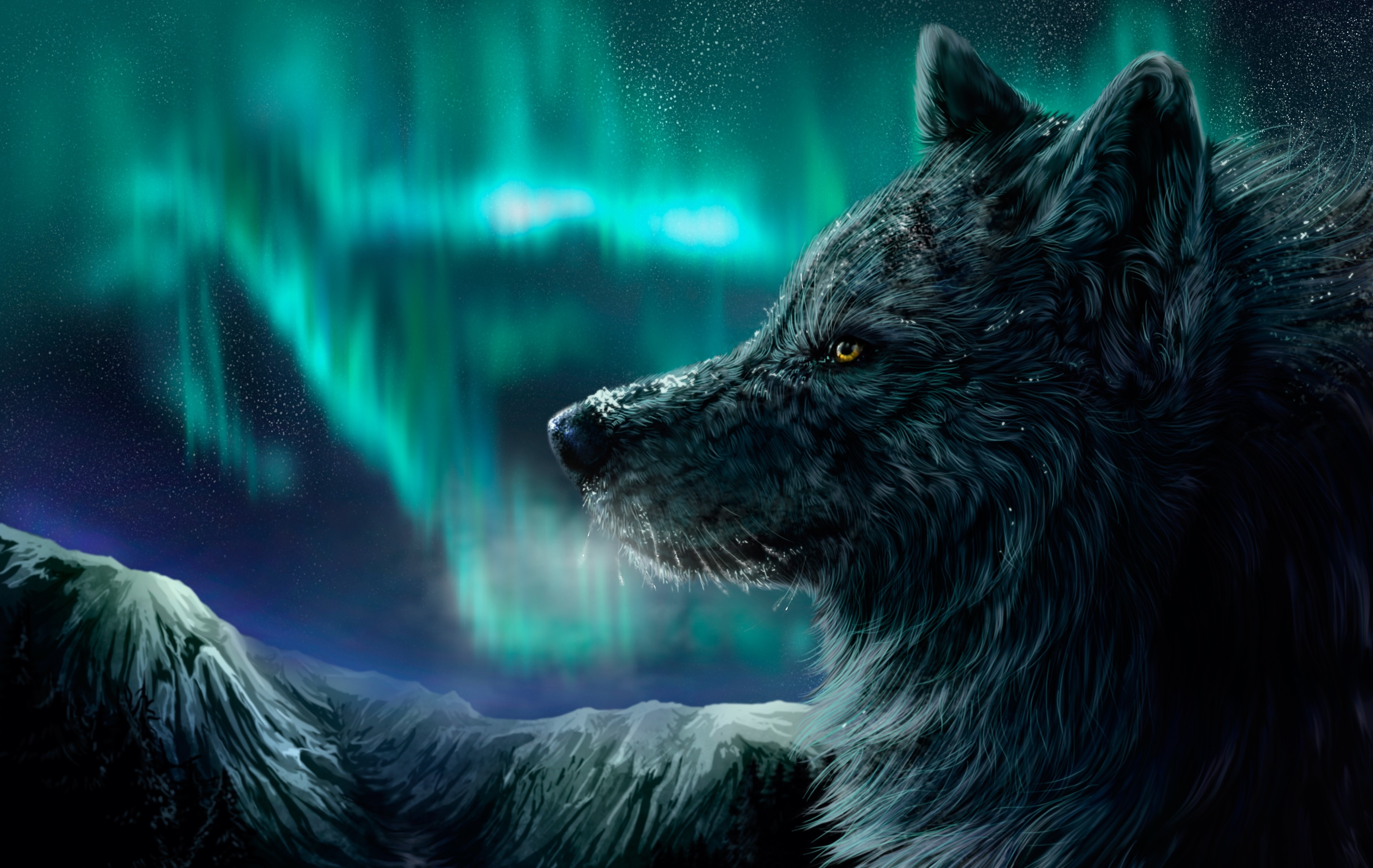 Black wolf under aurora borealis HD Wallpaper