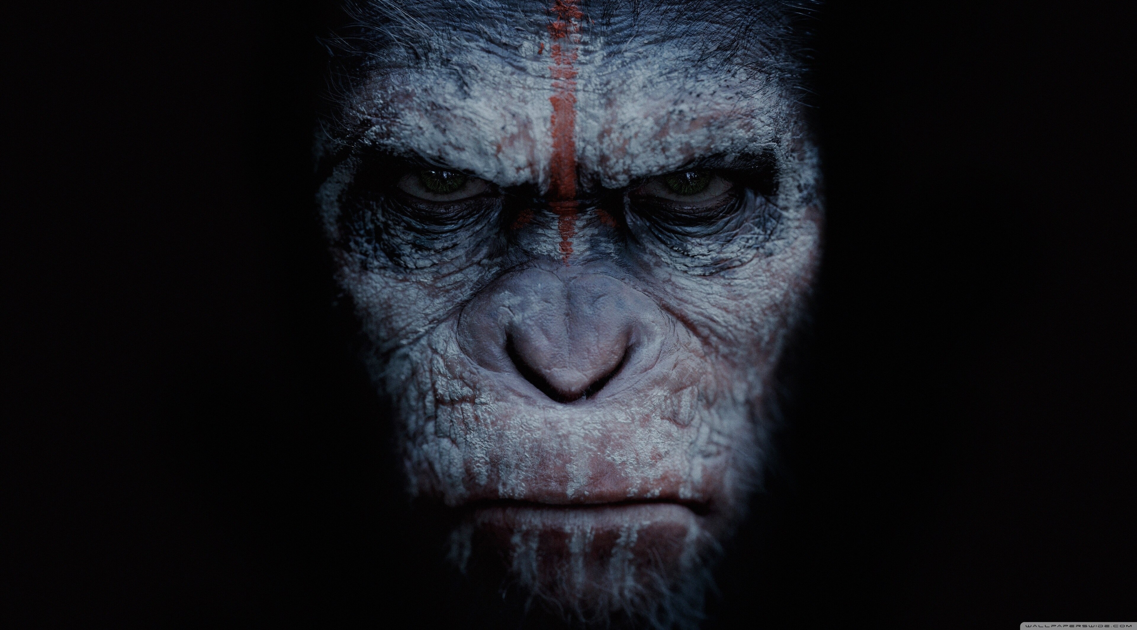 Caesar from War for the Planet of the Apes 4K HD Wallpaper