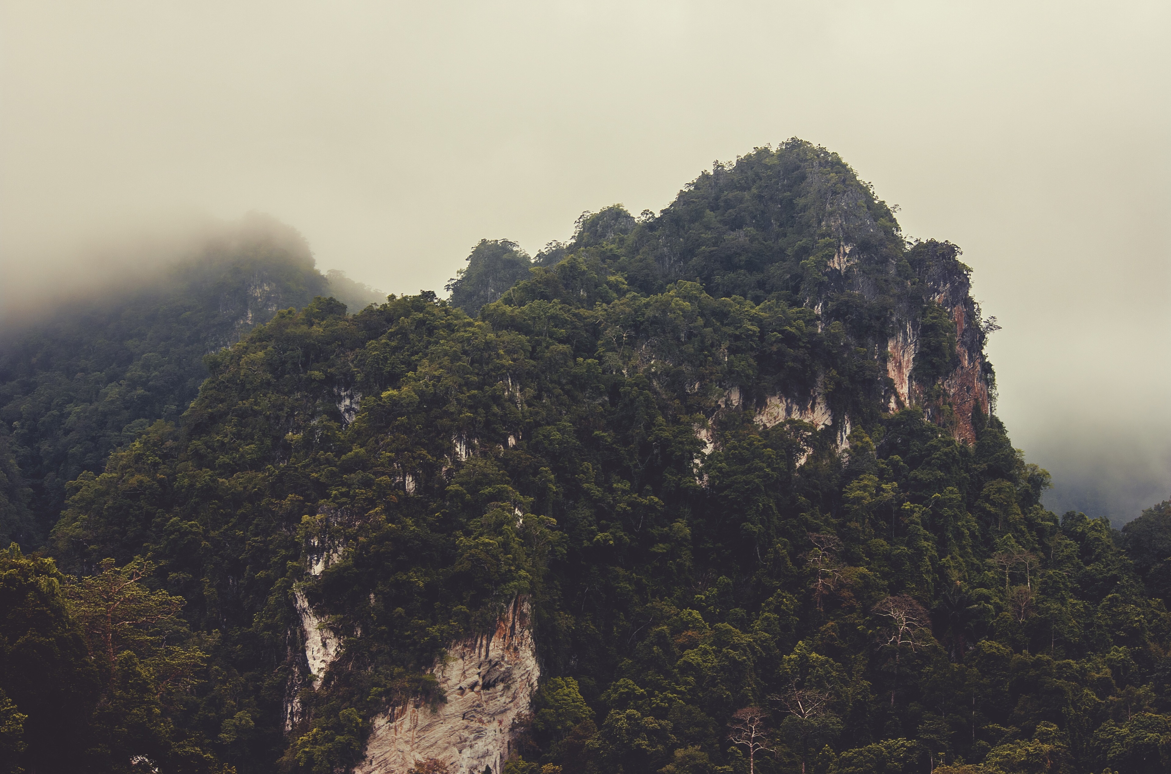 Misty Mountains Covered in Green Forest HD Wallpaper