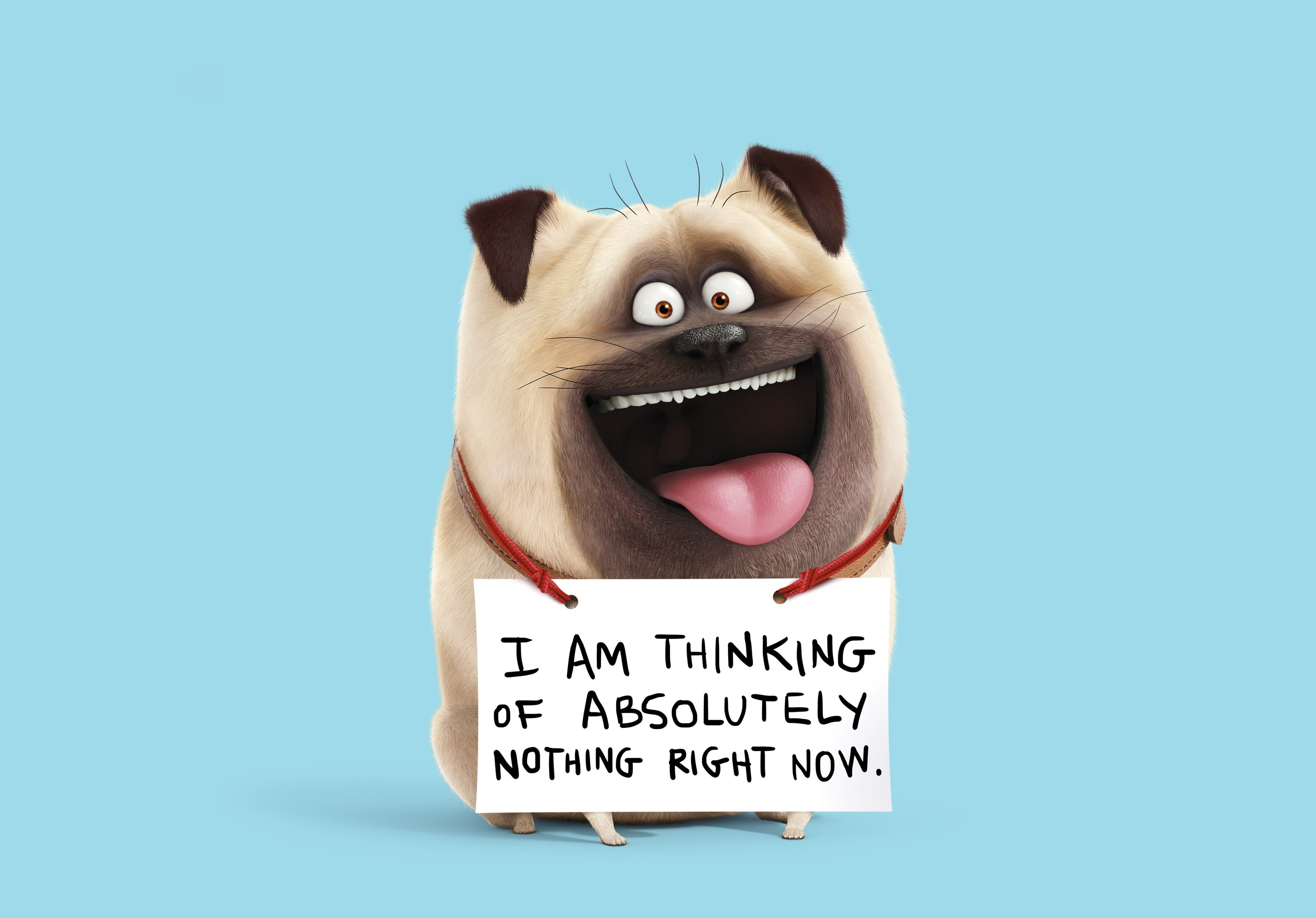 Mel from The Secret Life of Pets 4K HD Wallpaper