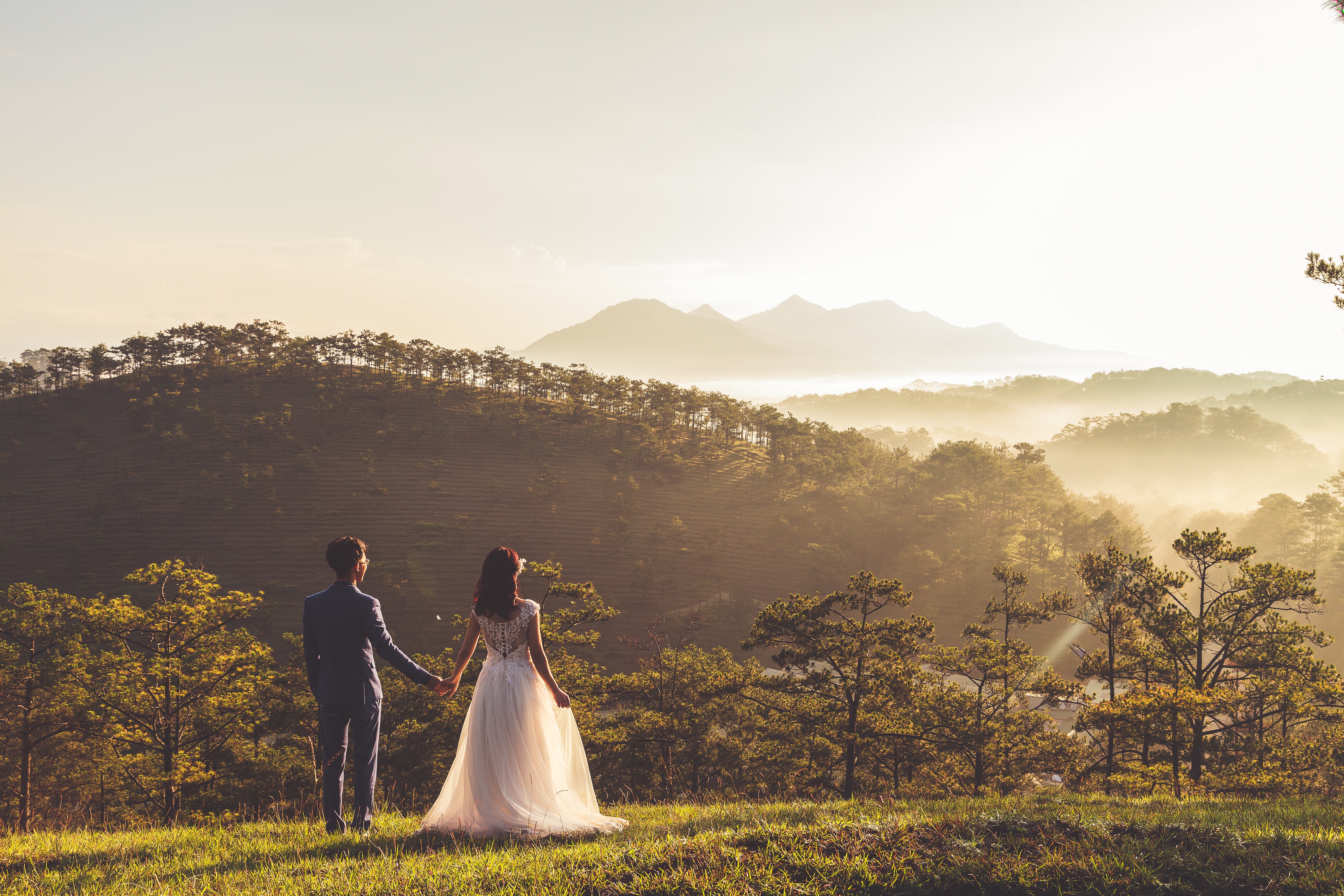 Couple holding hands on a hill at golden hour HD Wallpaper