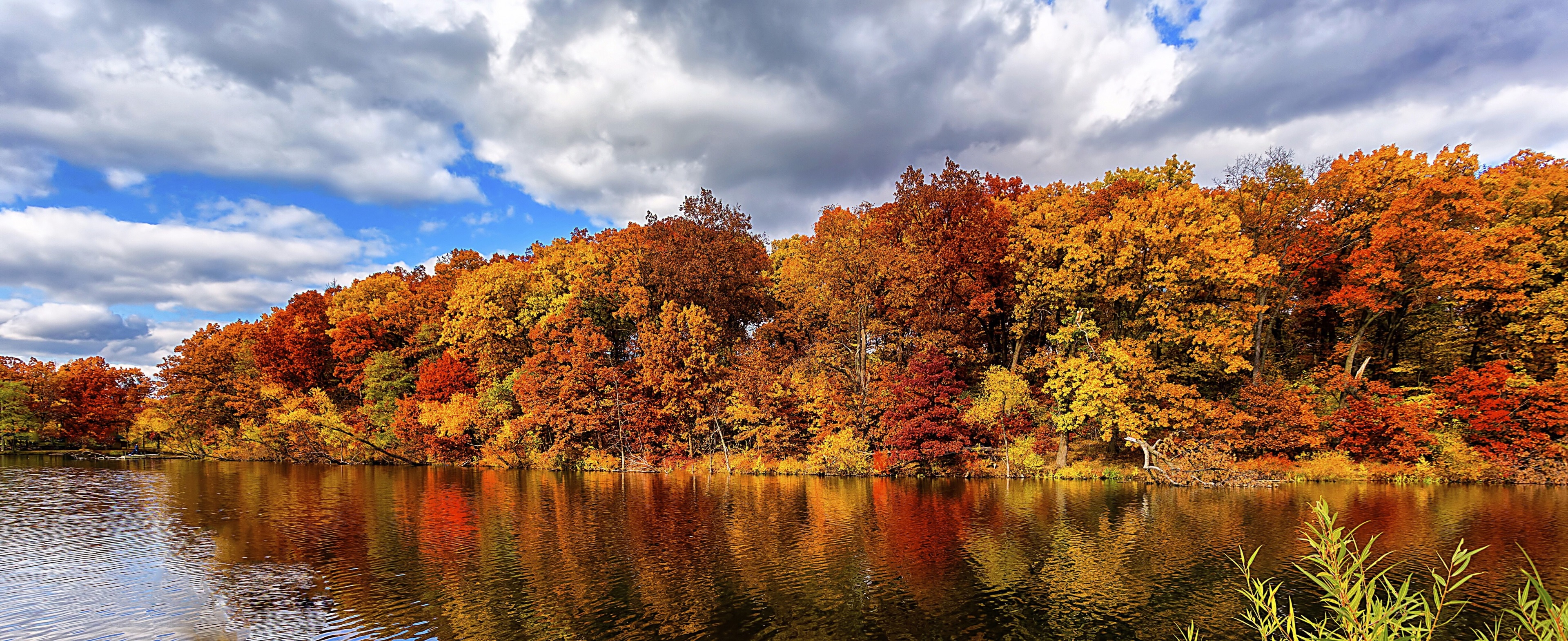 Autumn trees reflecting in a lake HD Wallpaper