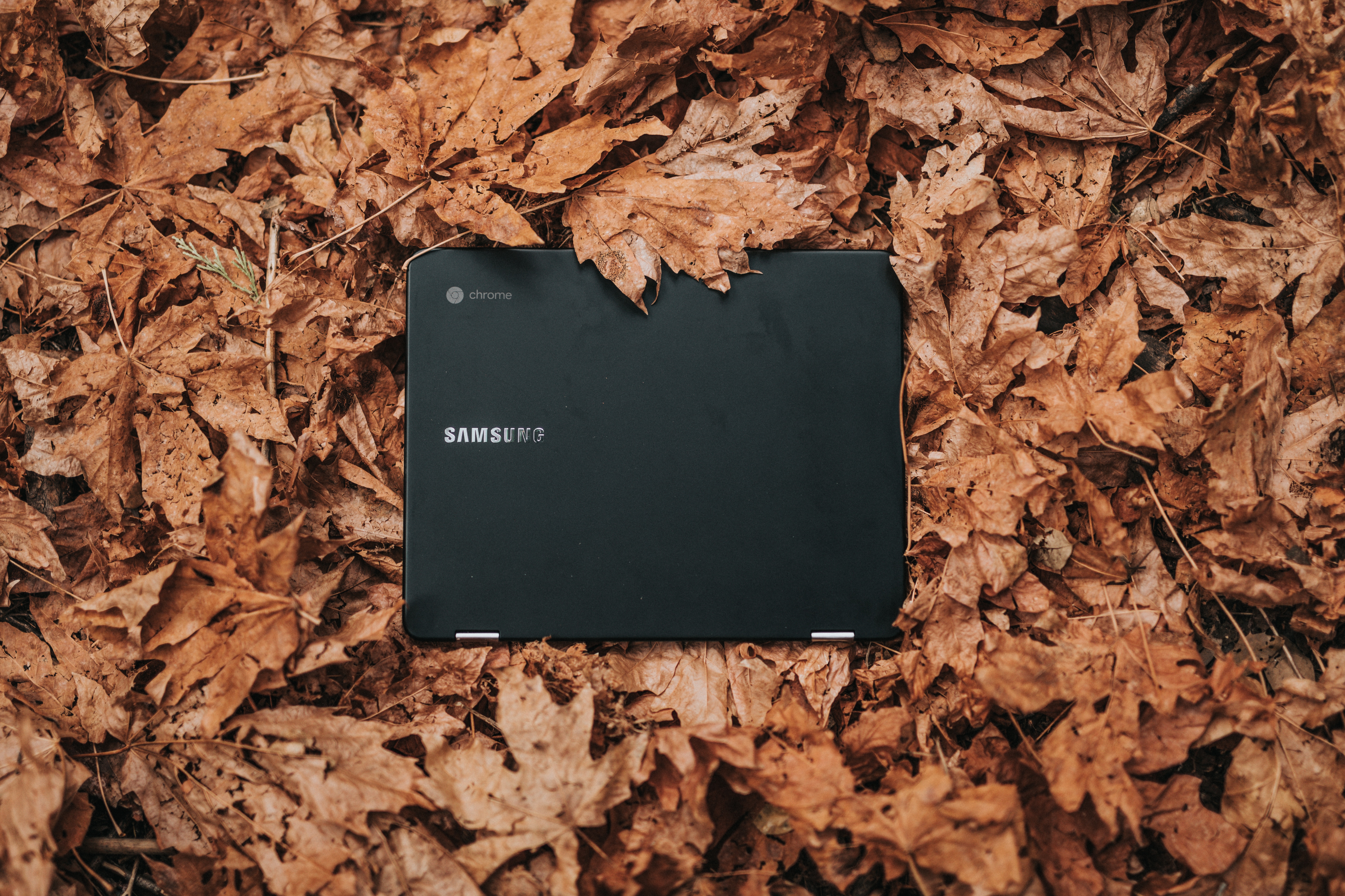 Samsung Chromebook laptop on fallen autumn leaves HD Wallpaper