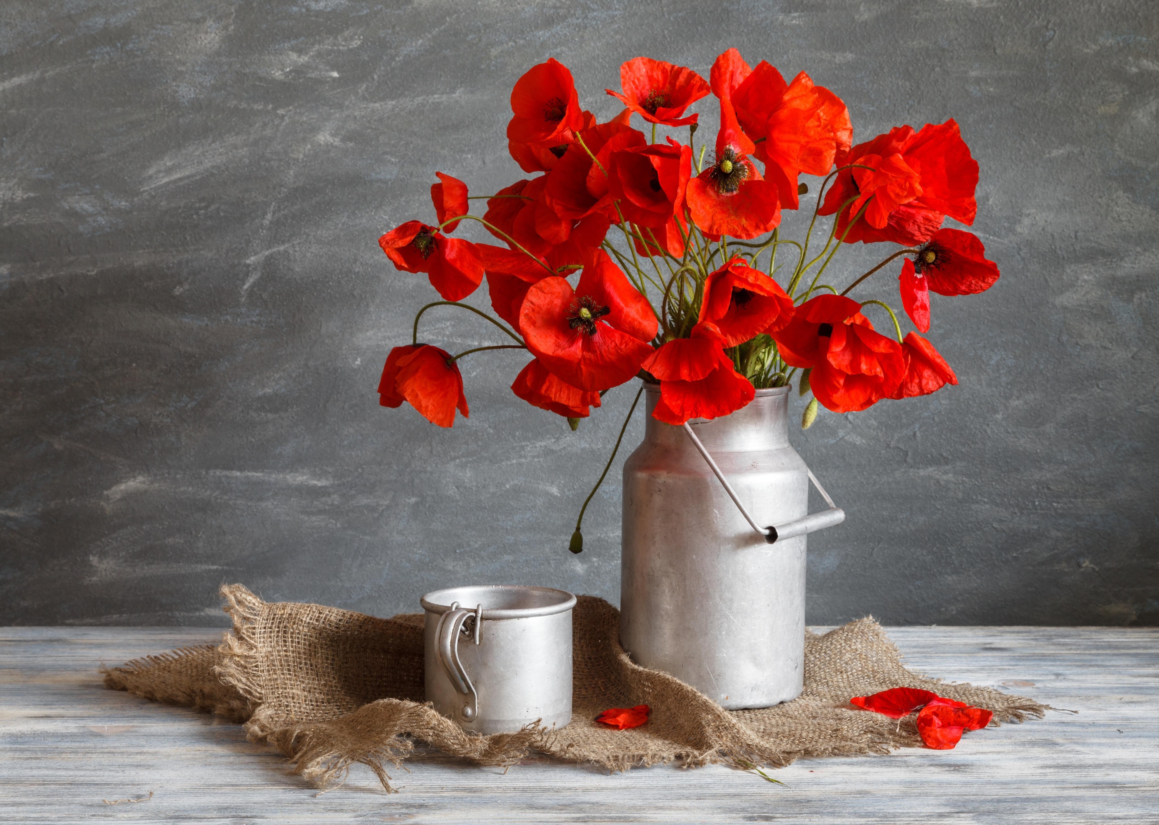 Still life of red poppies in a metal jug 4K HD Wallpaper
