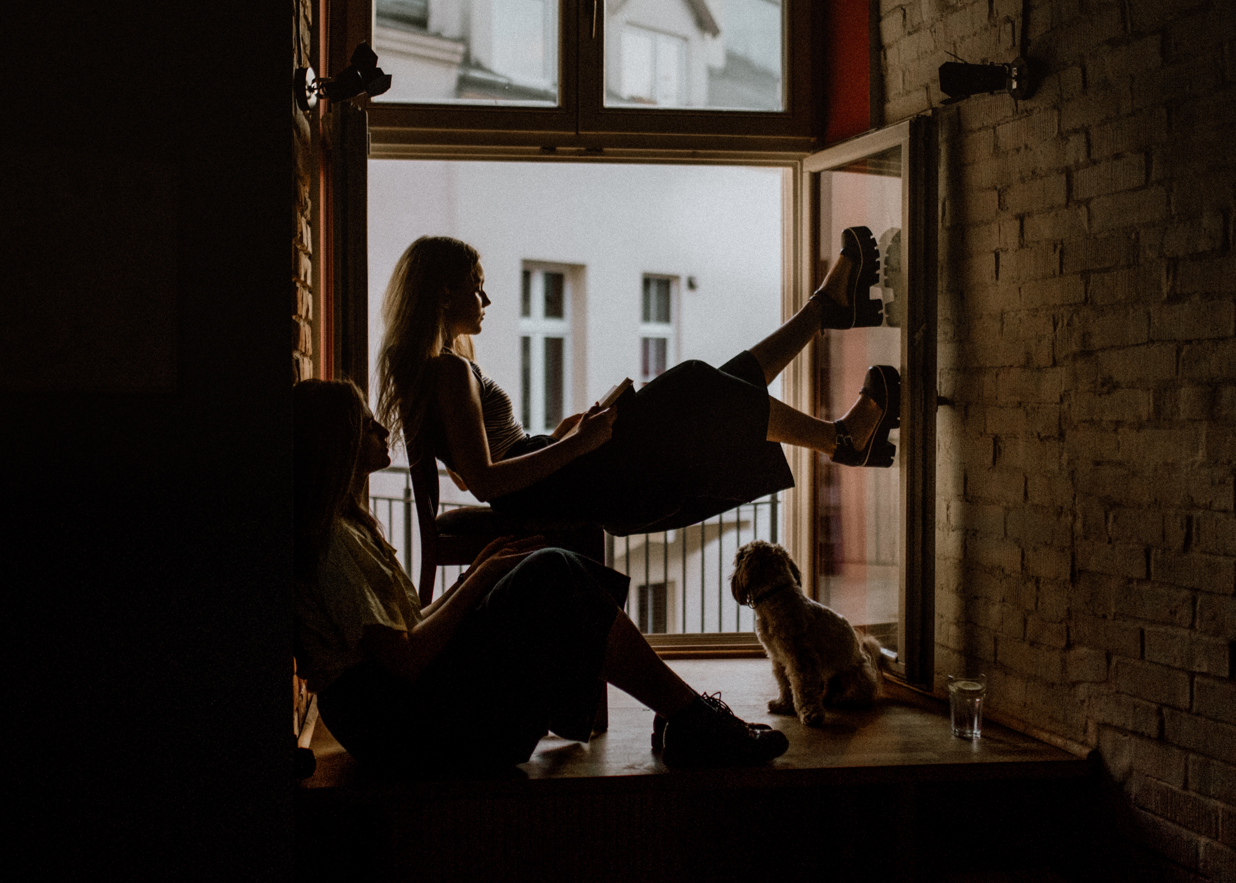 Two women and a dog relax by a window HD Wallpaper