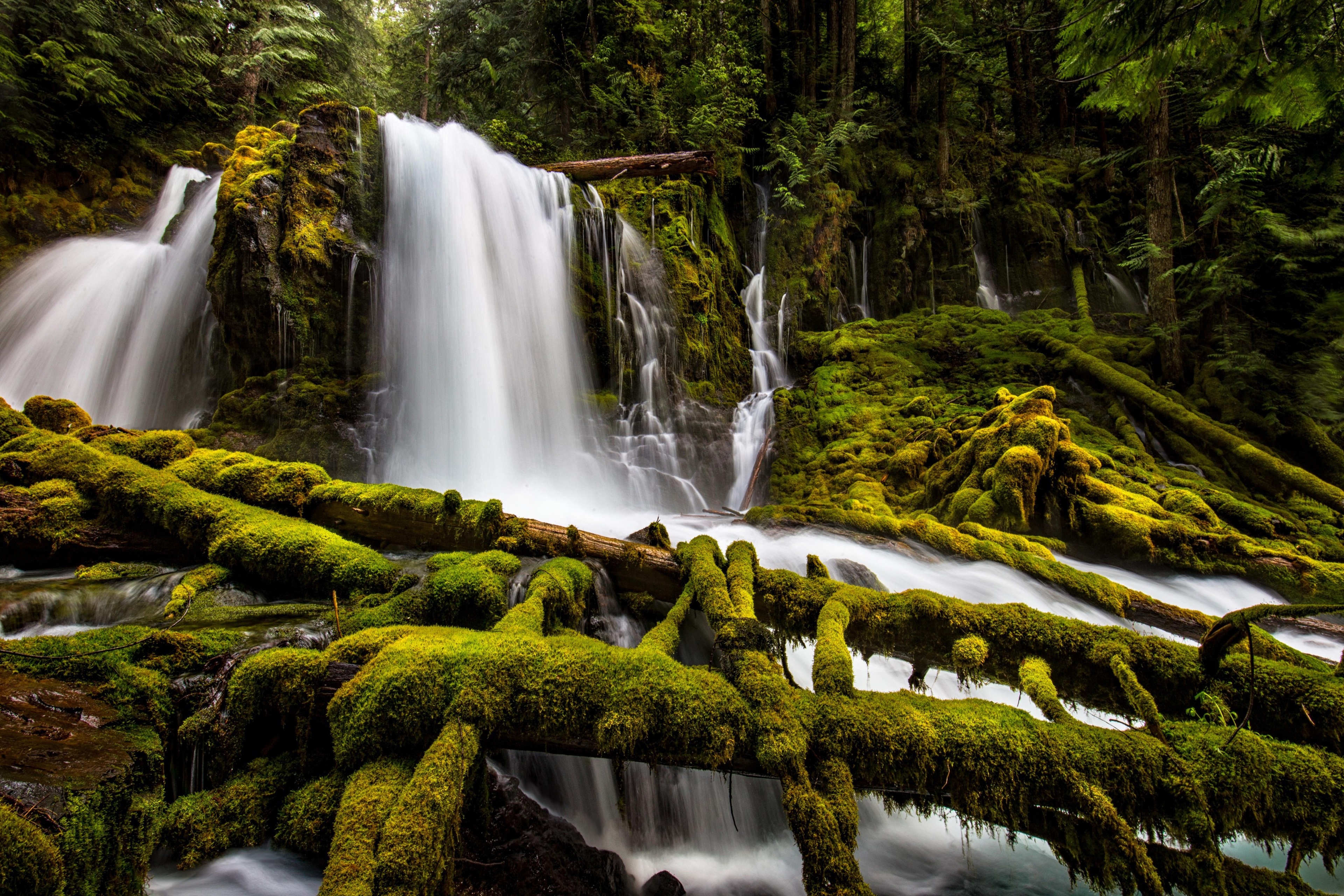 Waterfall in a Mossy Forest 4K HD Wallpaper