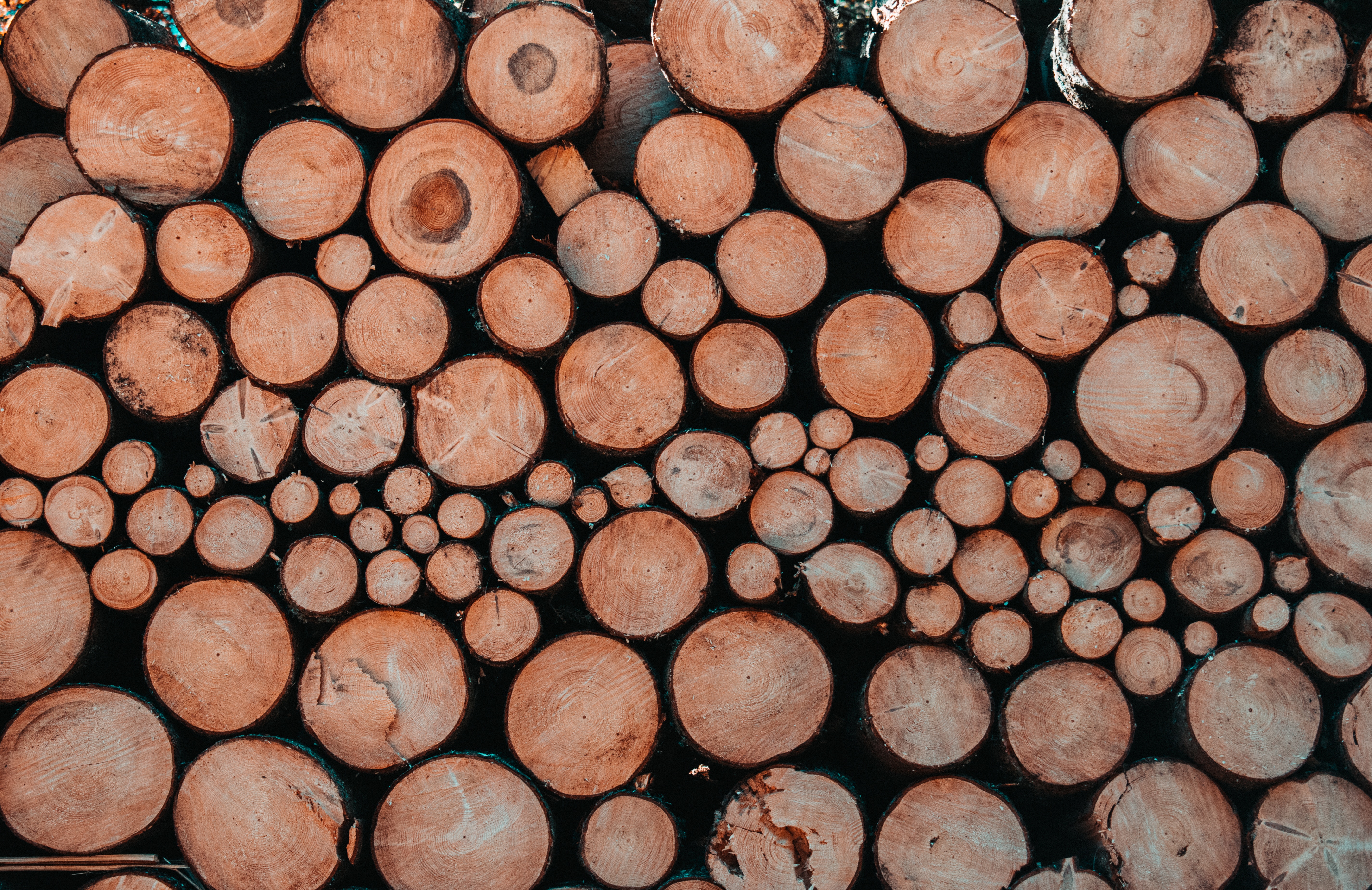Stack of Cut Tree Logs with Warm Orange Tones HD Wallpaper