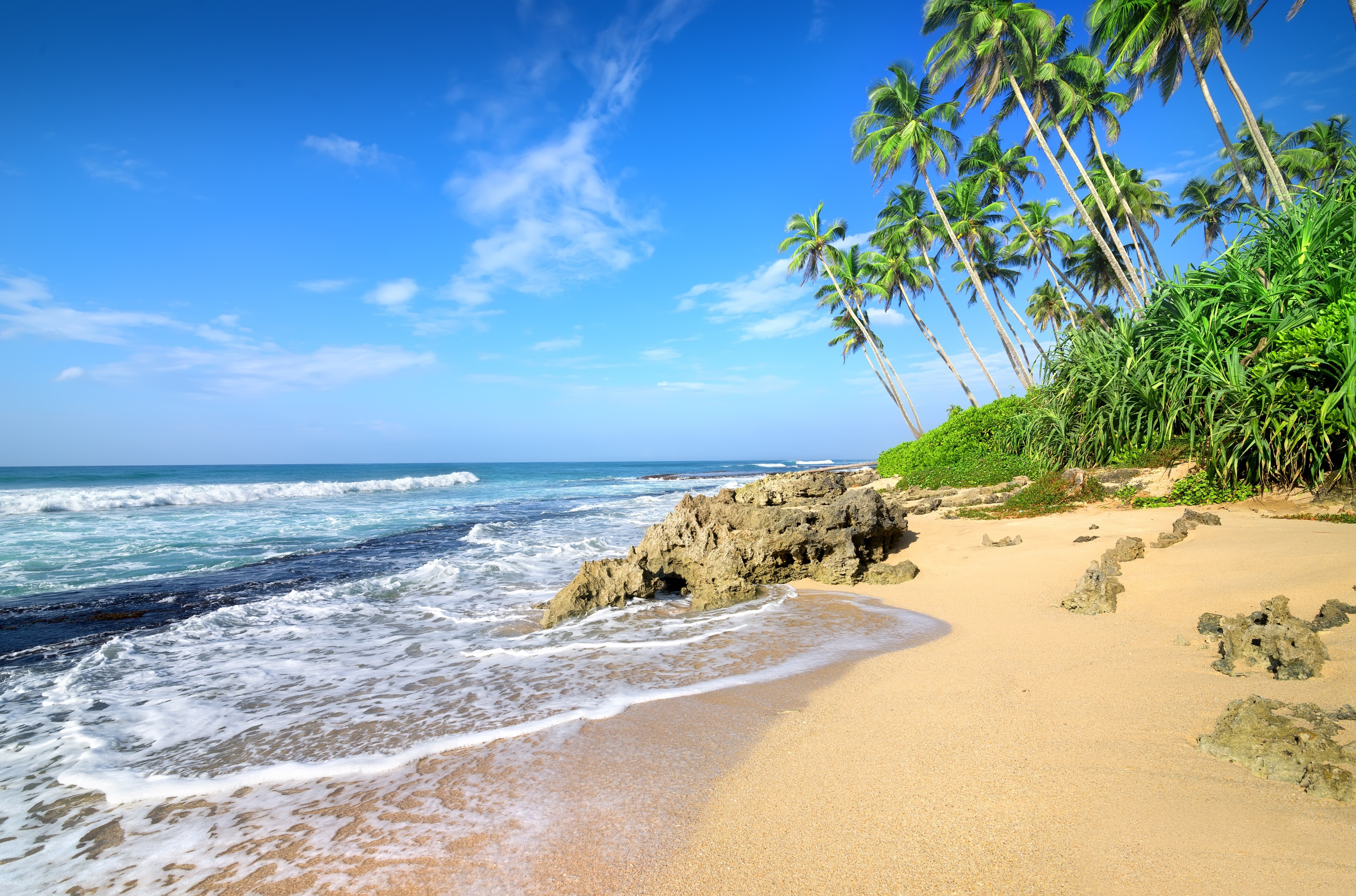 Beach with palm trees and ocean waves HD Wallpaper