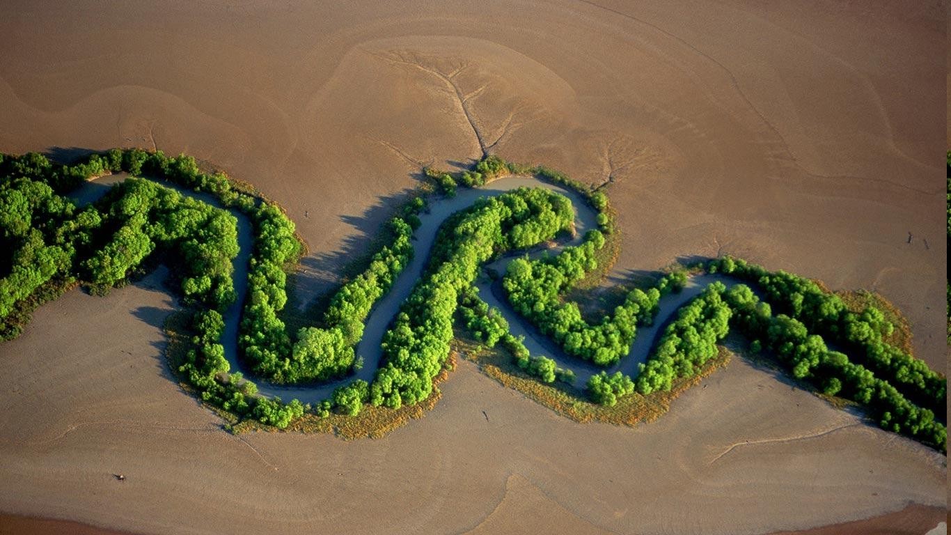 Aerial view of a winding river through a mangrove forest in Australia HD Wallpaper