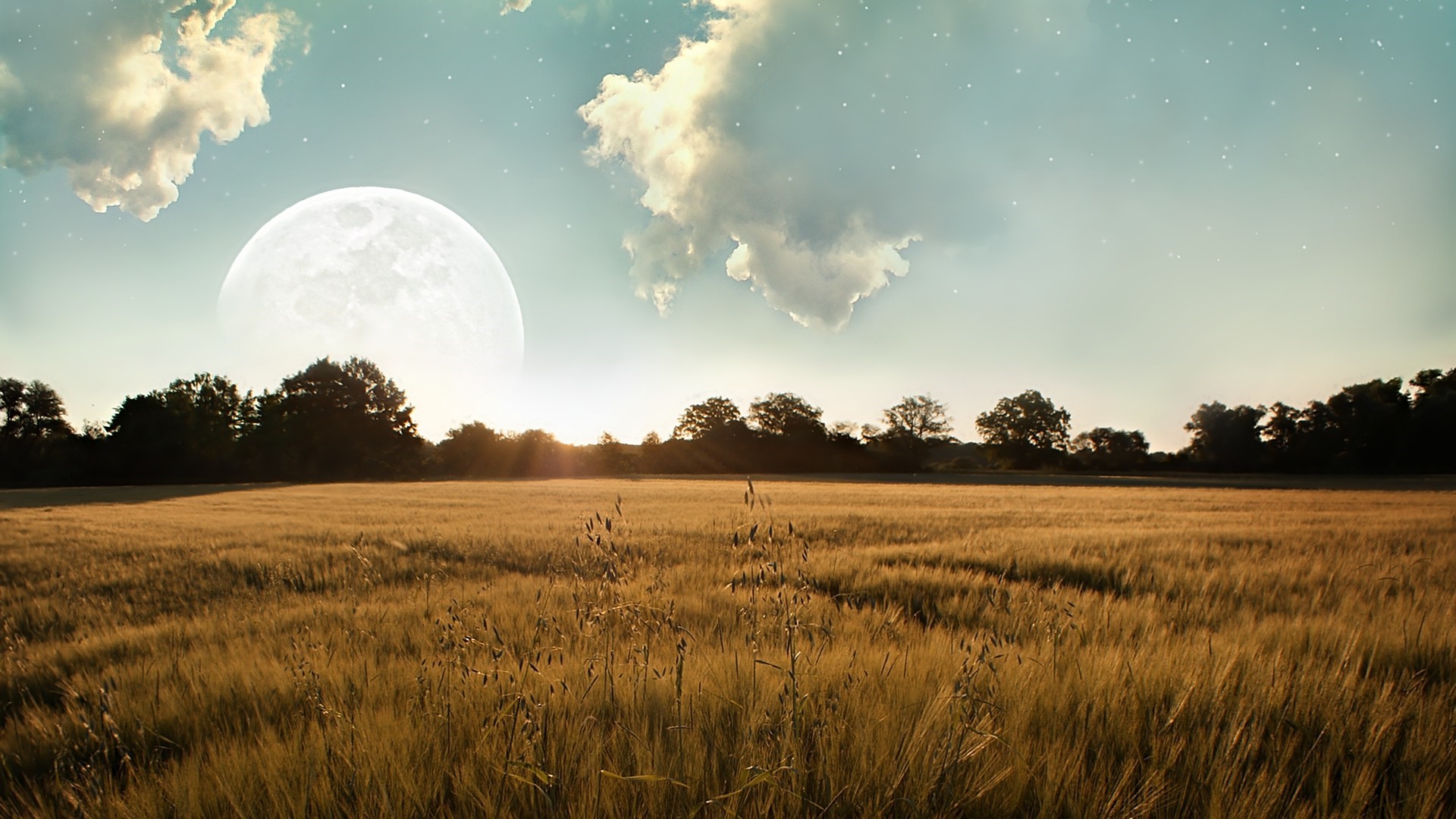 Field with Moon and Clouds HD Wallpaper