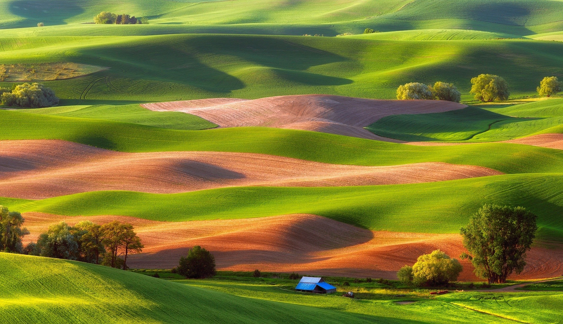 Rolling green hills and fields in Palouse, Washington, USA HD Wallpaper