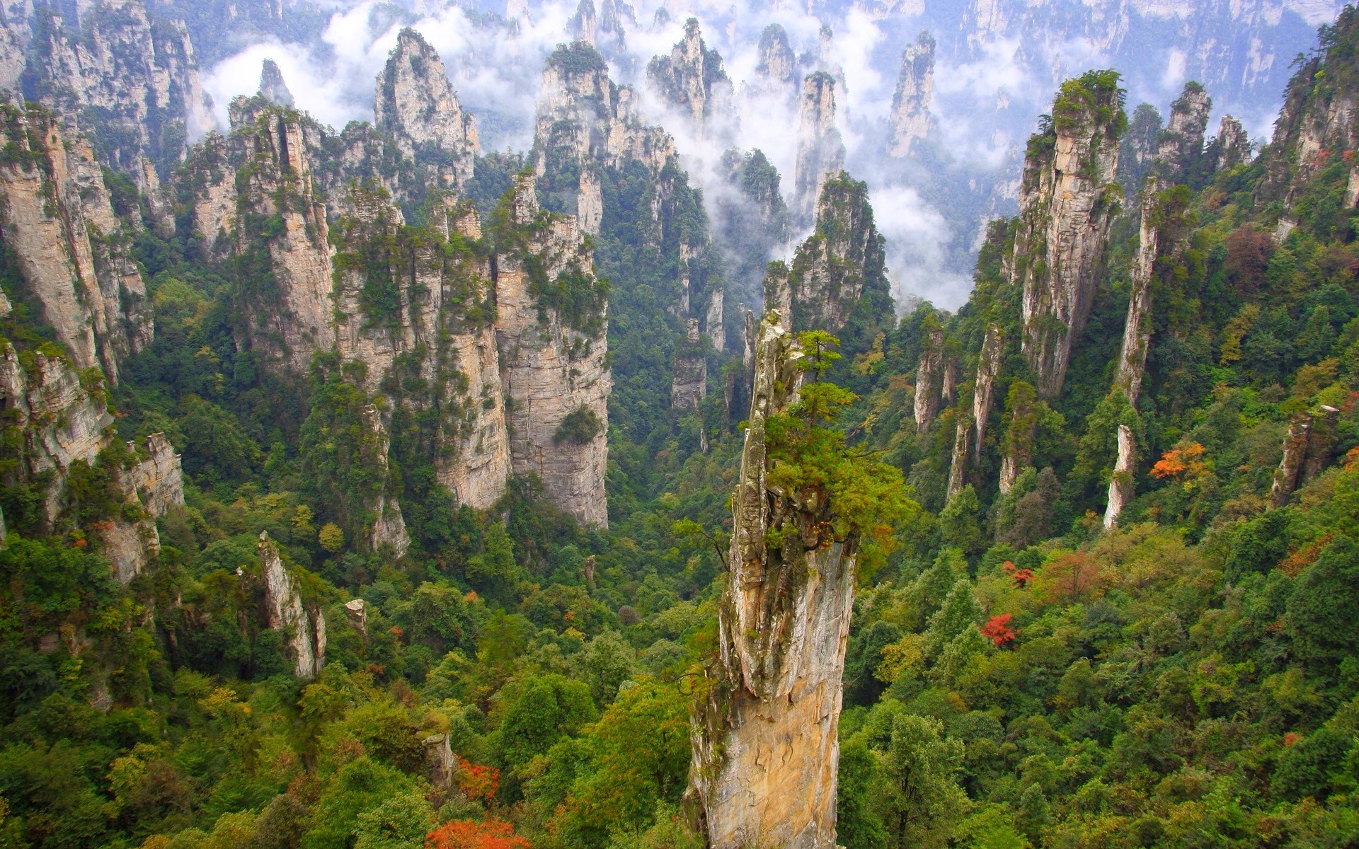 Zhangjiajie National Forest Park, China HD Wallpaper