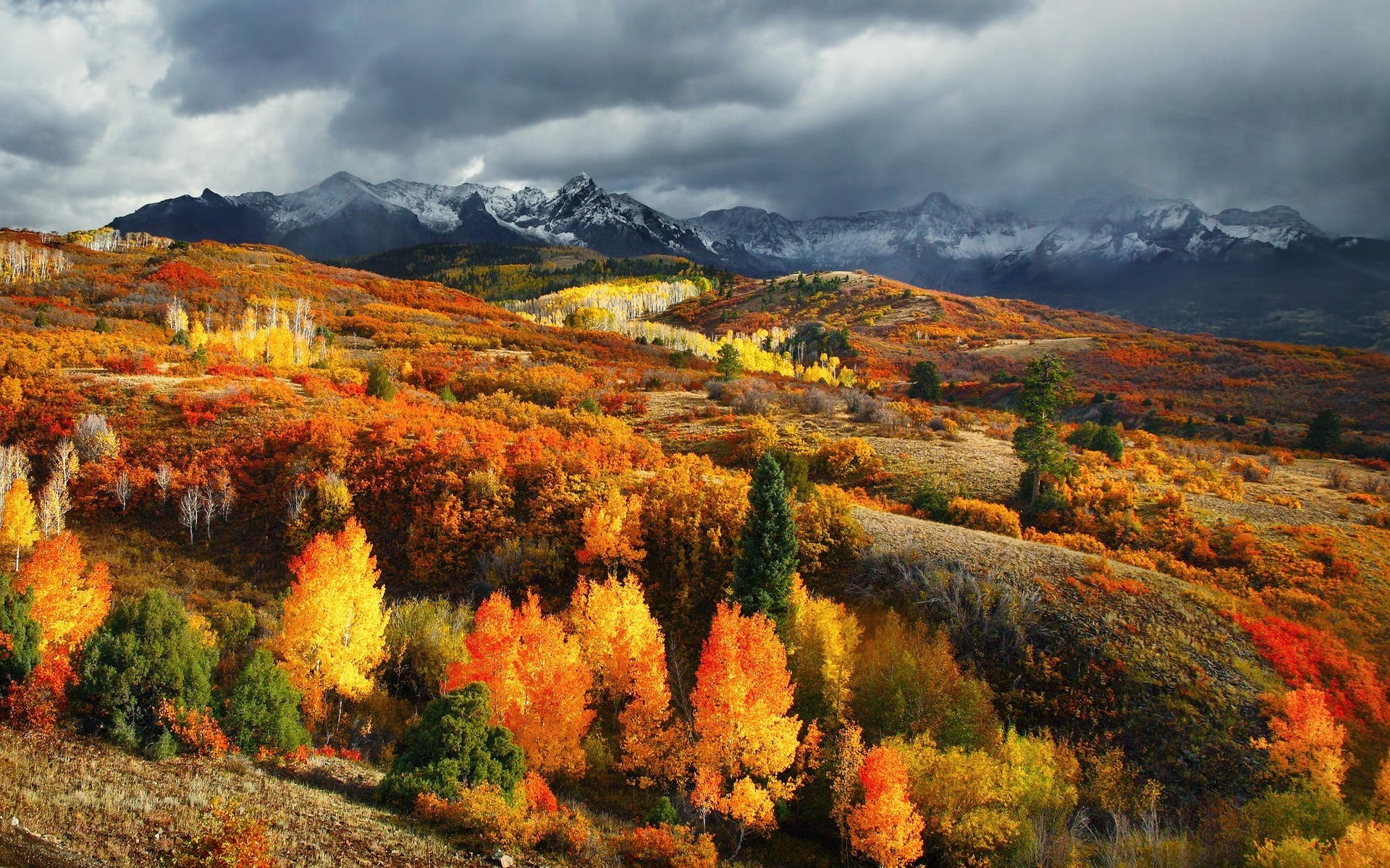 Autumn mountain landscape with colorful trees and snowy peaks HD Wallpaper