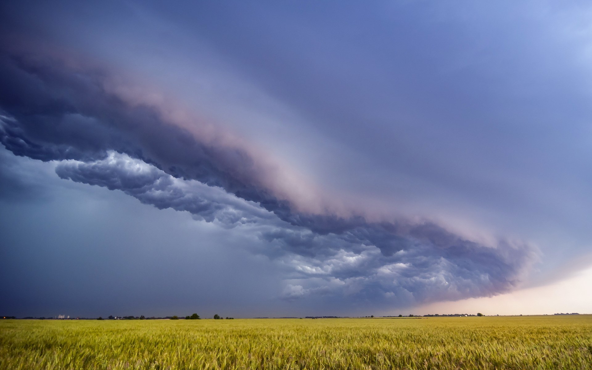 Storm clouds over a wheat field HD Wallpaper