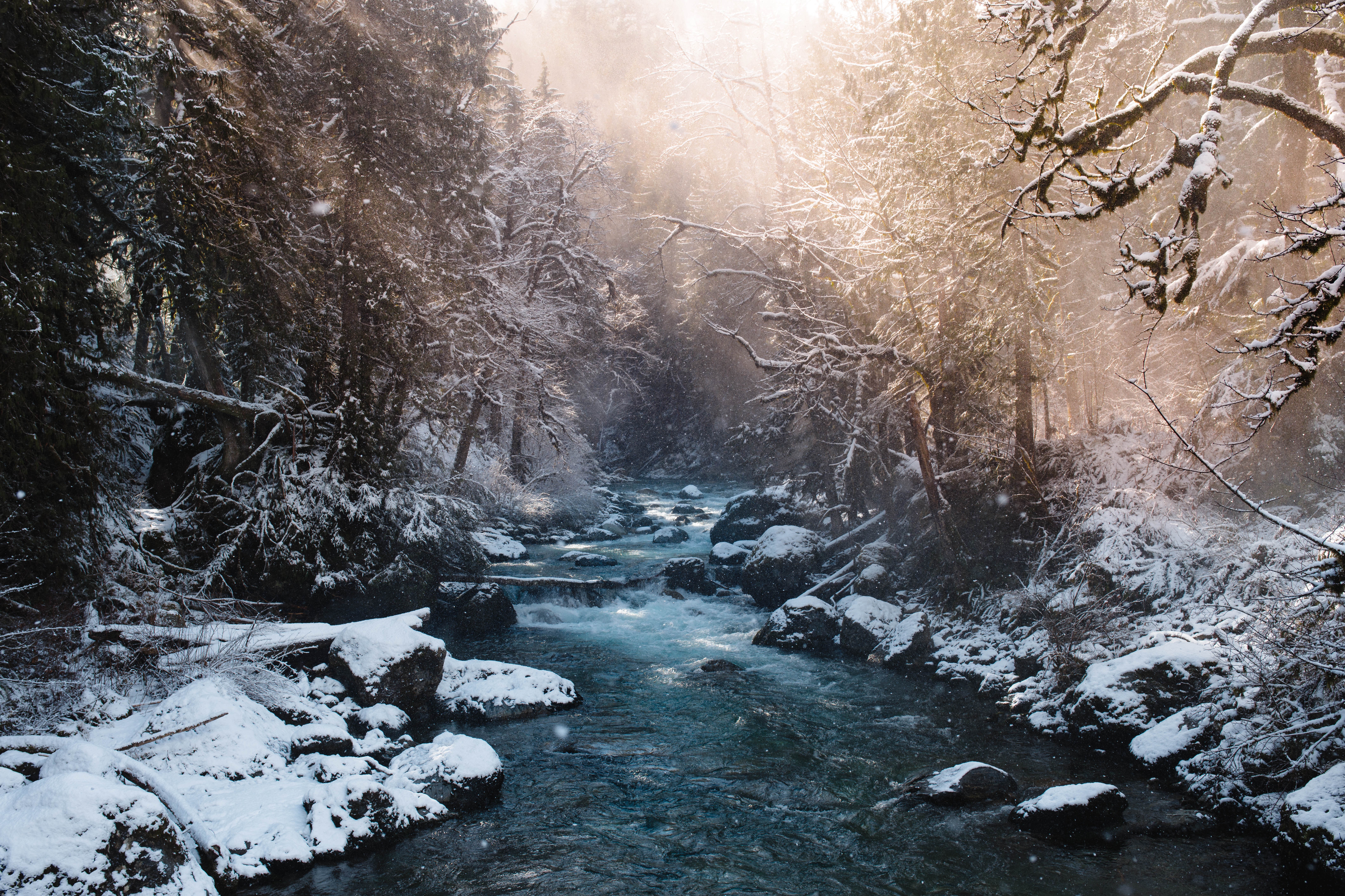 Snowy river flowing through a sunlit forest in the Pacific Northwest HD Wallpaper