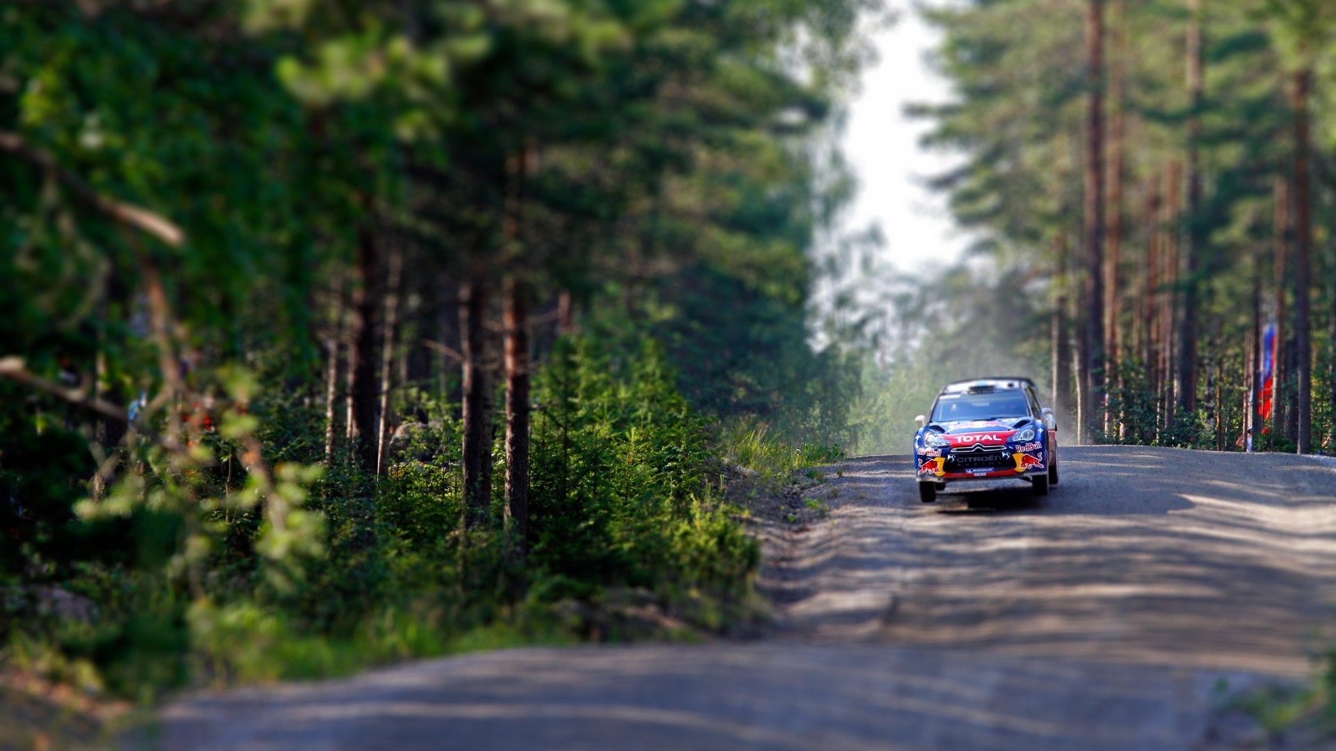 Citroen rally car racing on a forest road HD Wallpaper
