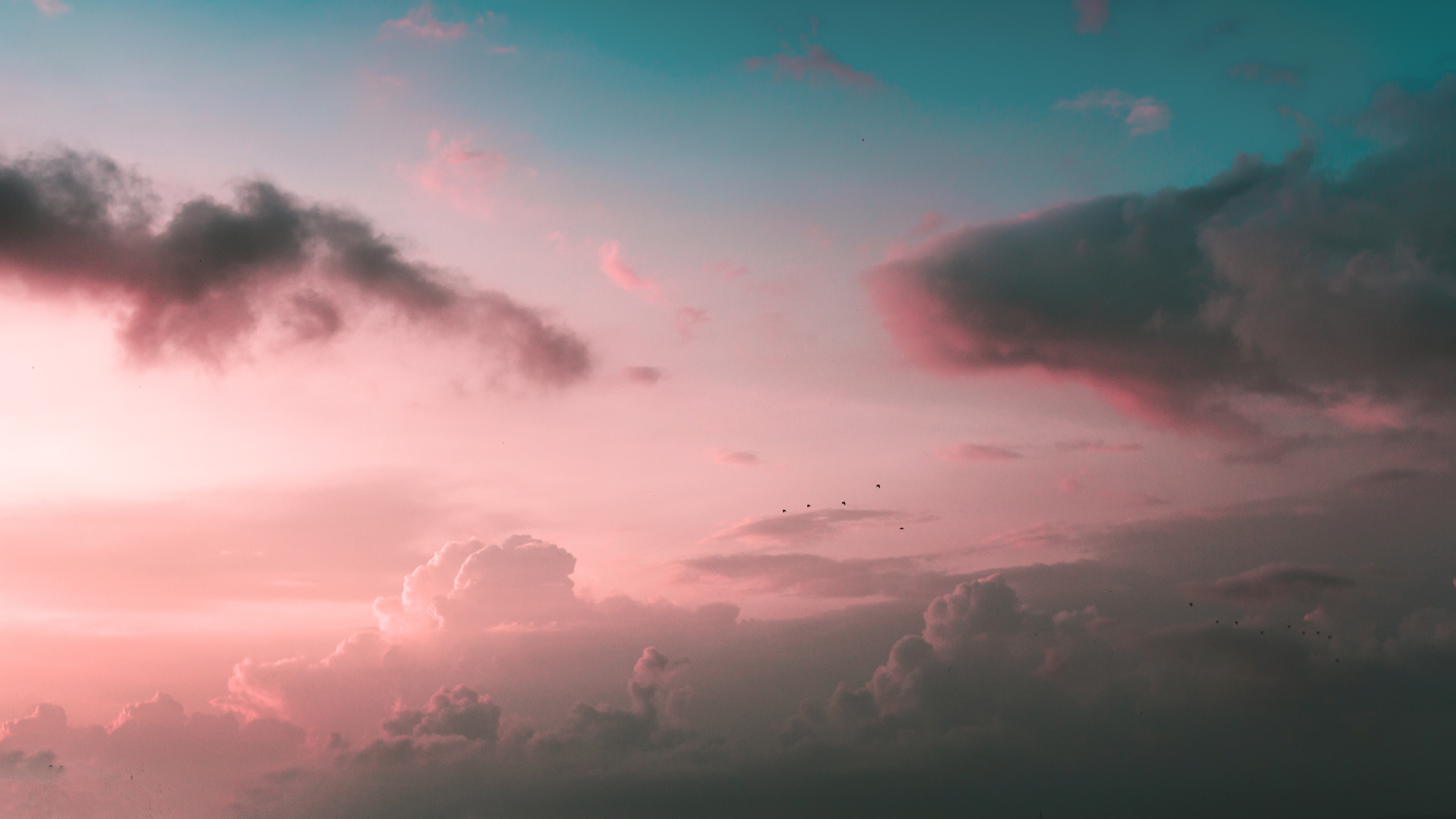 Pastel sunset sky with cumulus clouds and birds HD Wallpaper