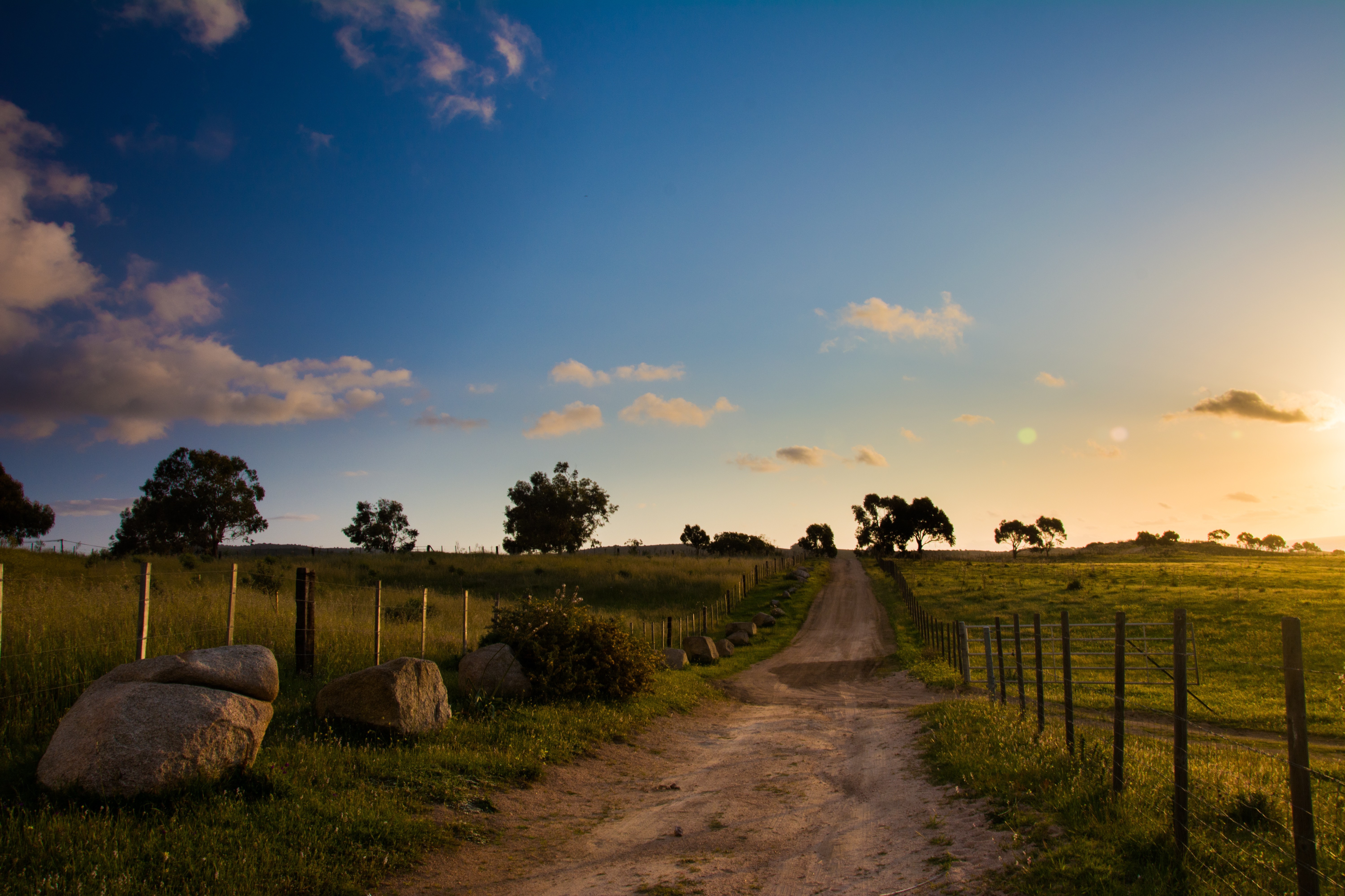 Sunset over rural dirt road and grassy fields HD Wallpaper