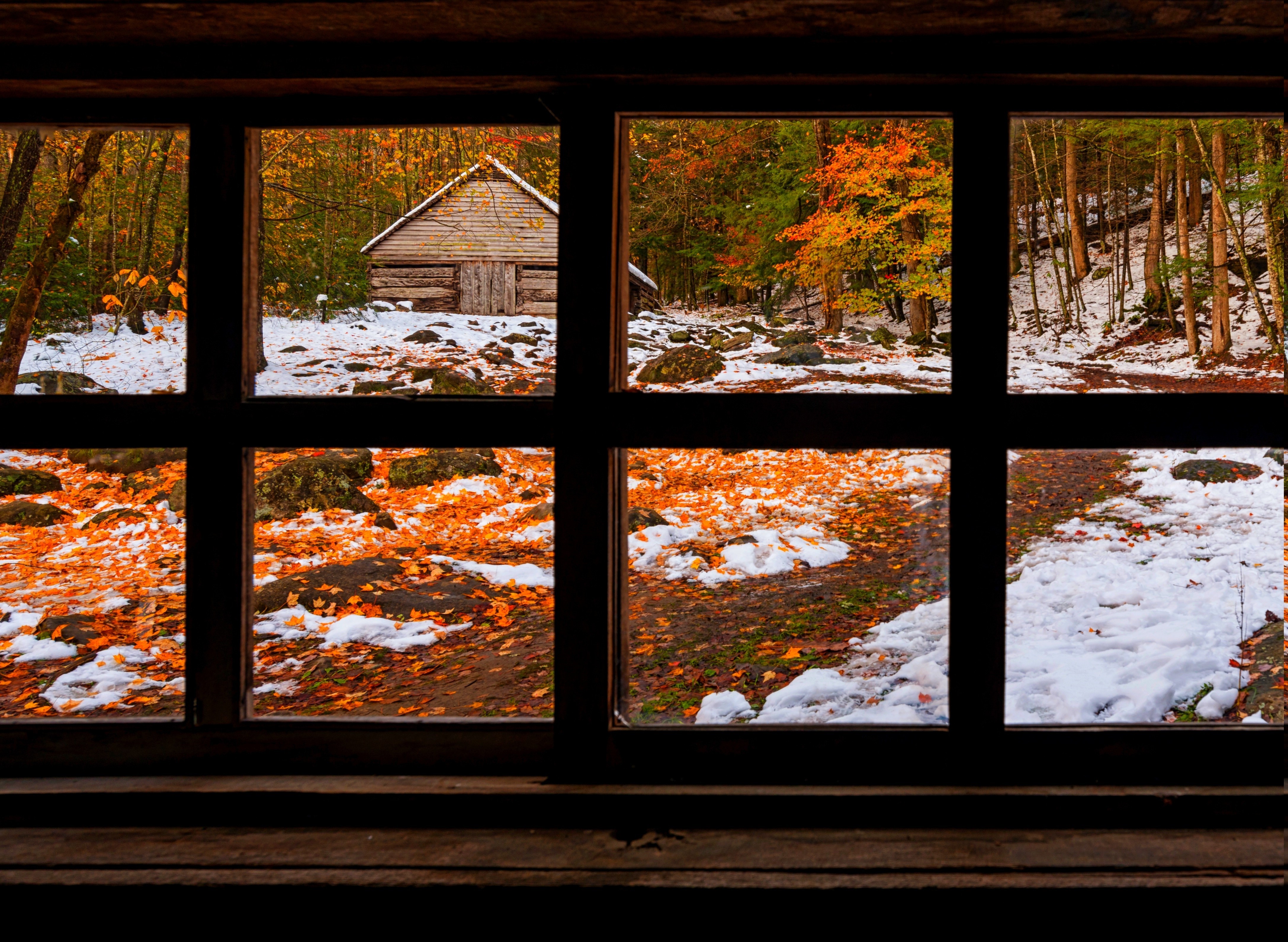 Cabin in a forest with fall leaves and snow HD Wallpaper