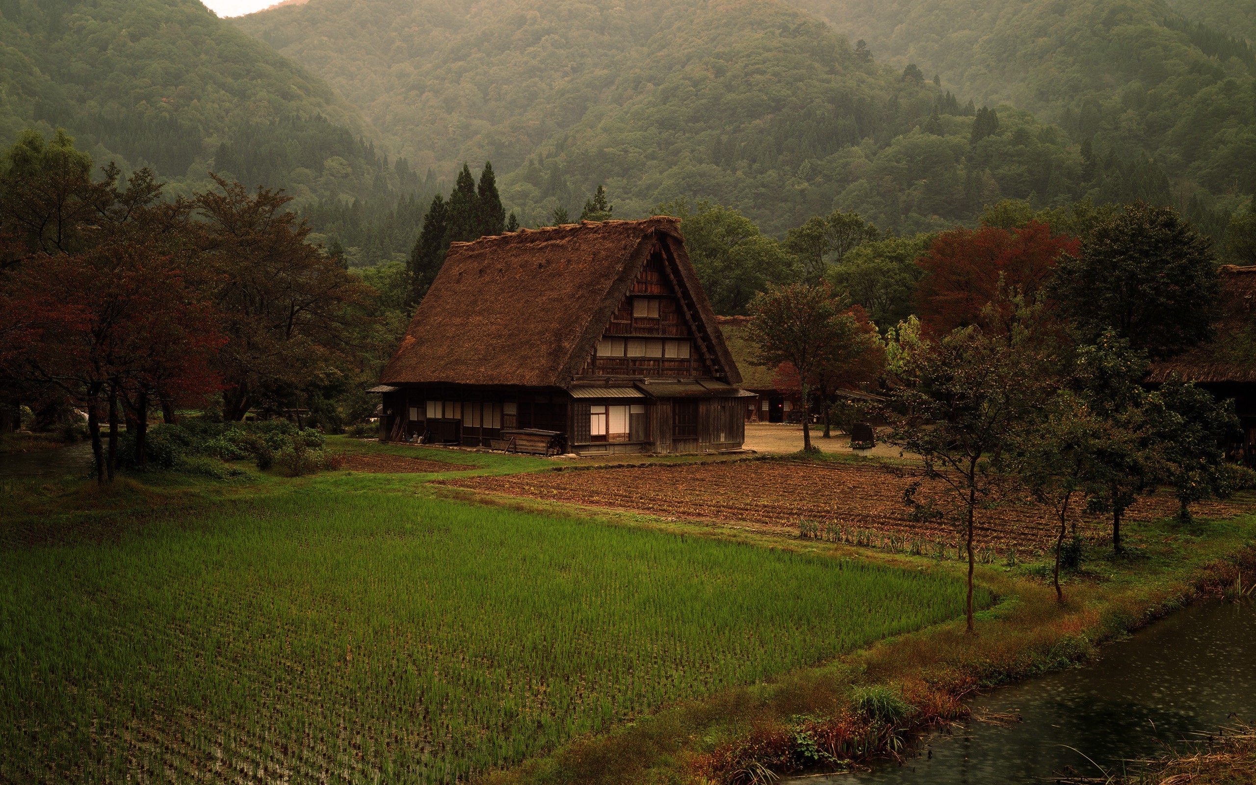 Traditional Japanese Cabin Surrounded by Lush Greenery HD Wallpaper